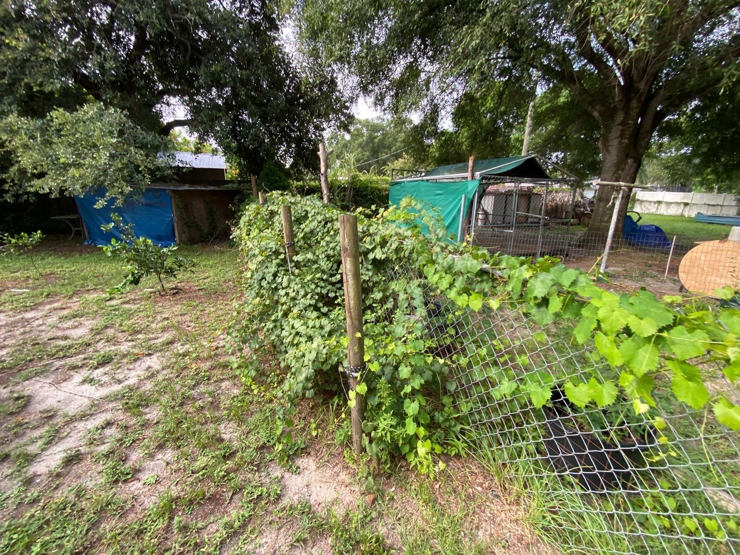 Bradenton, FL 6ft. Tall White Vinyl Privacy Fence  by Asap fence and gates, LLC
