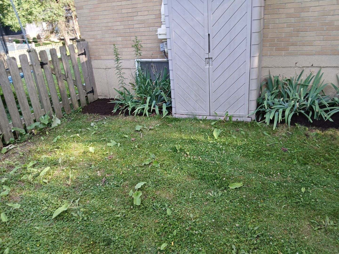 Liz L. - Mount Prospect, IL by A&N 