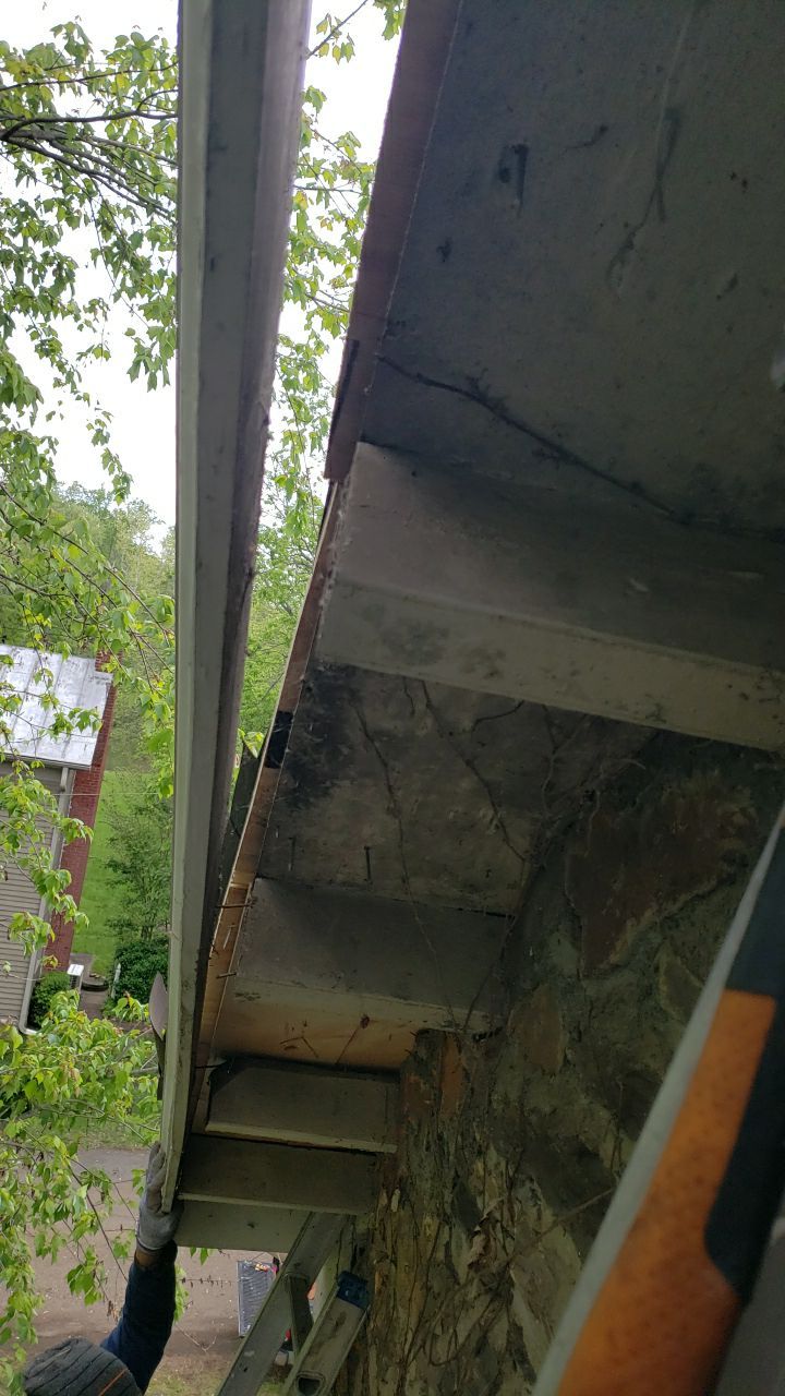 Gainesville Historic Structure: Western Red Cedar #1 Perfection G&R CCA Cedar Shakes by RM Banning, Inc.