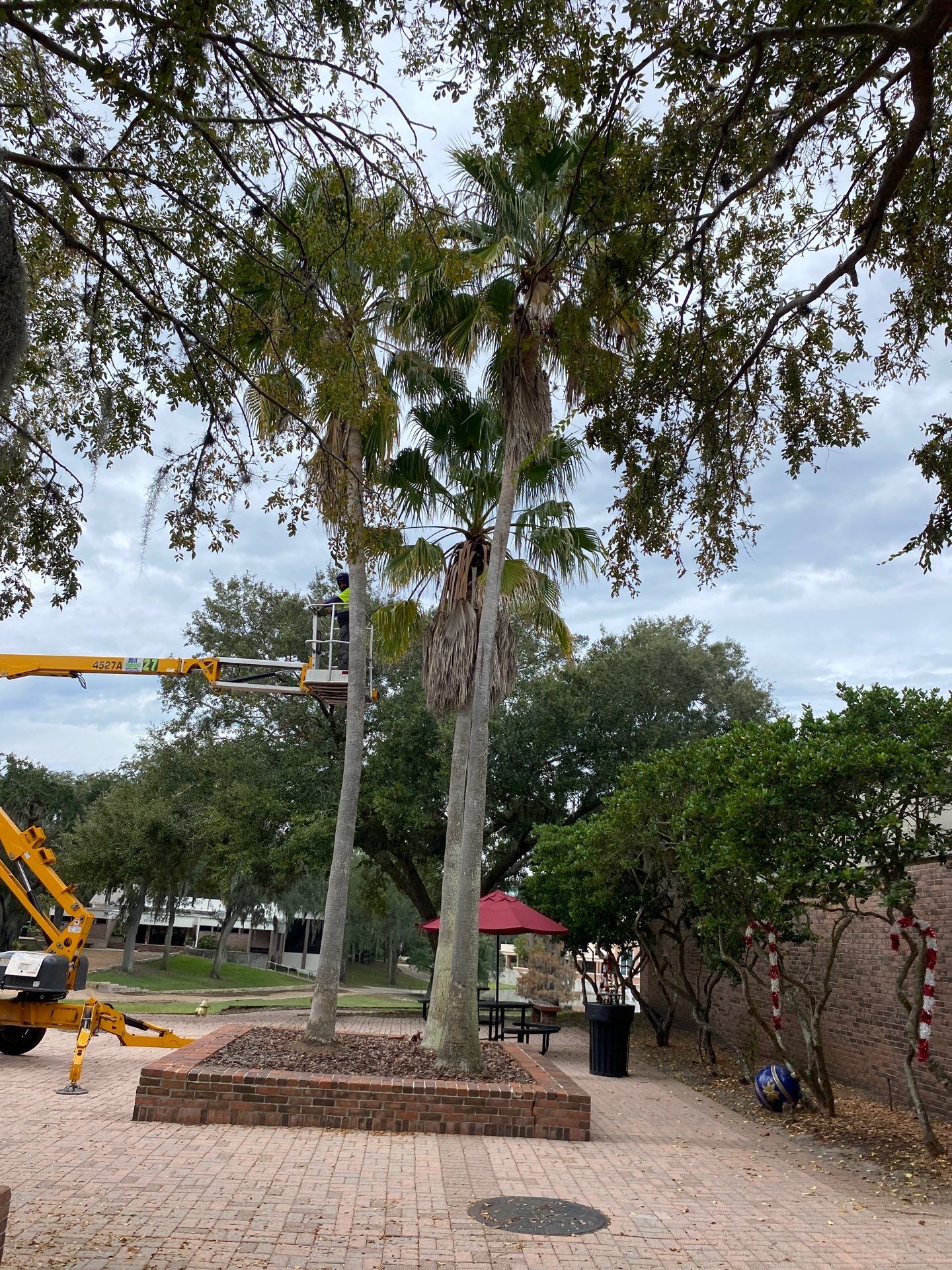 Volunteer Work | Episcopal High School of Jacksonville by ProGreen Services