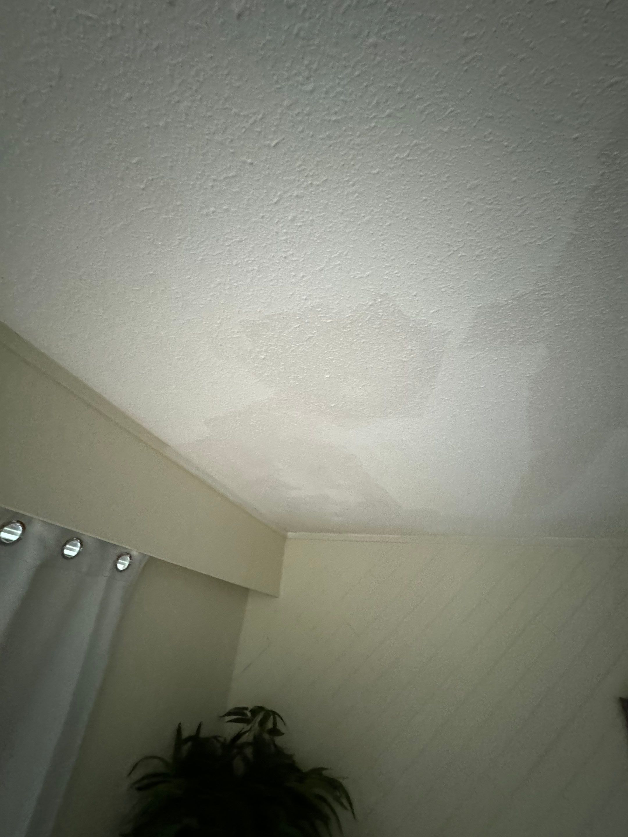 Ceiling Repair by YVR Construction Group