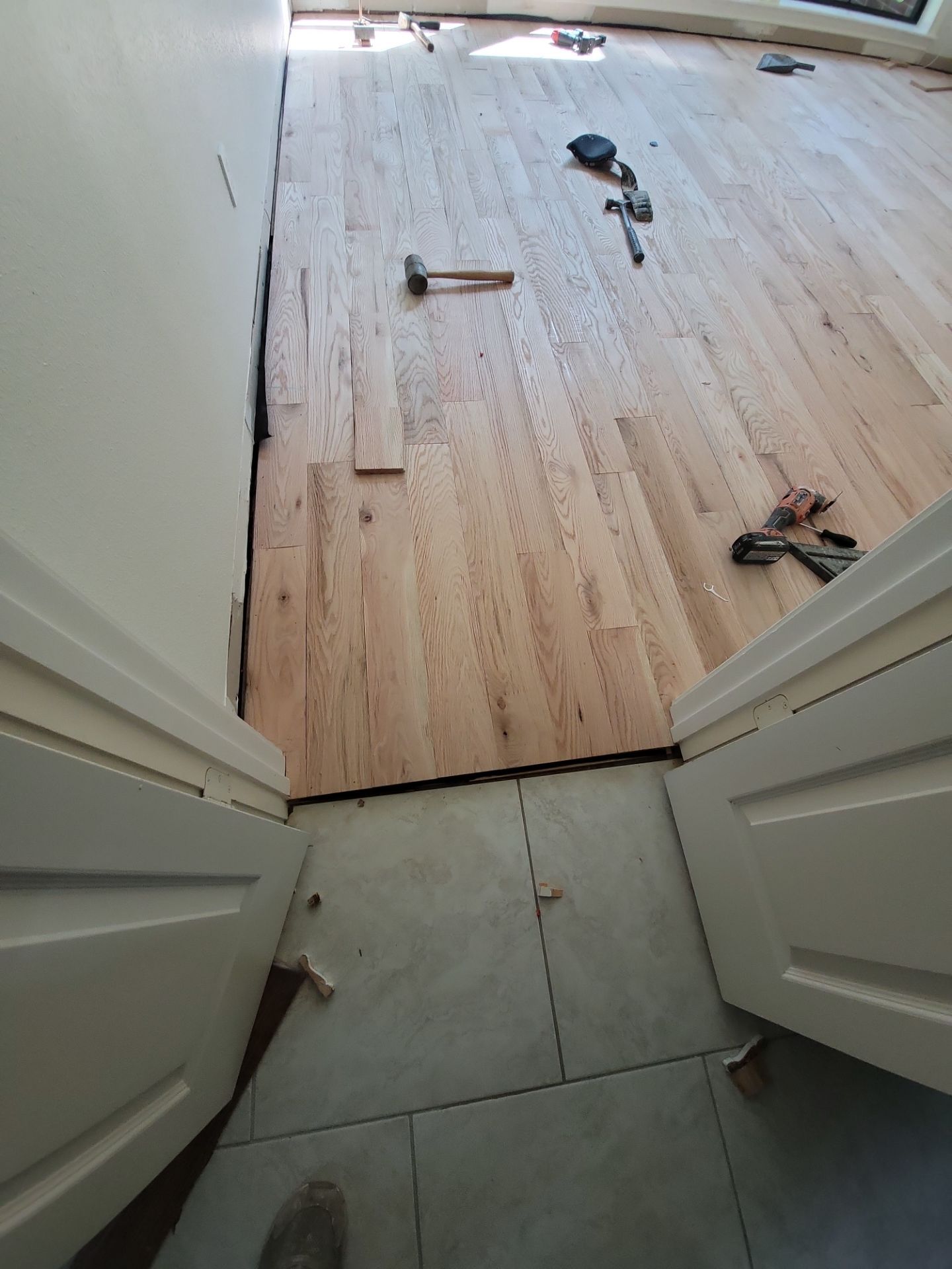 The Napolitano Family by SophAlx LLC