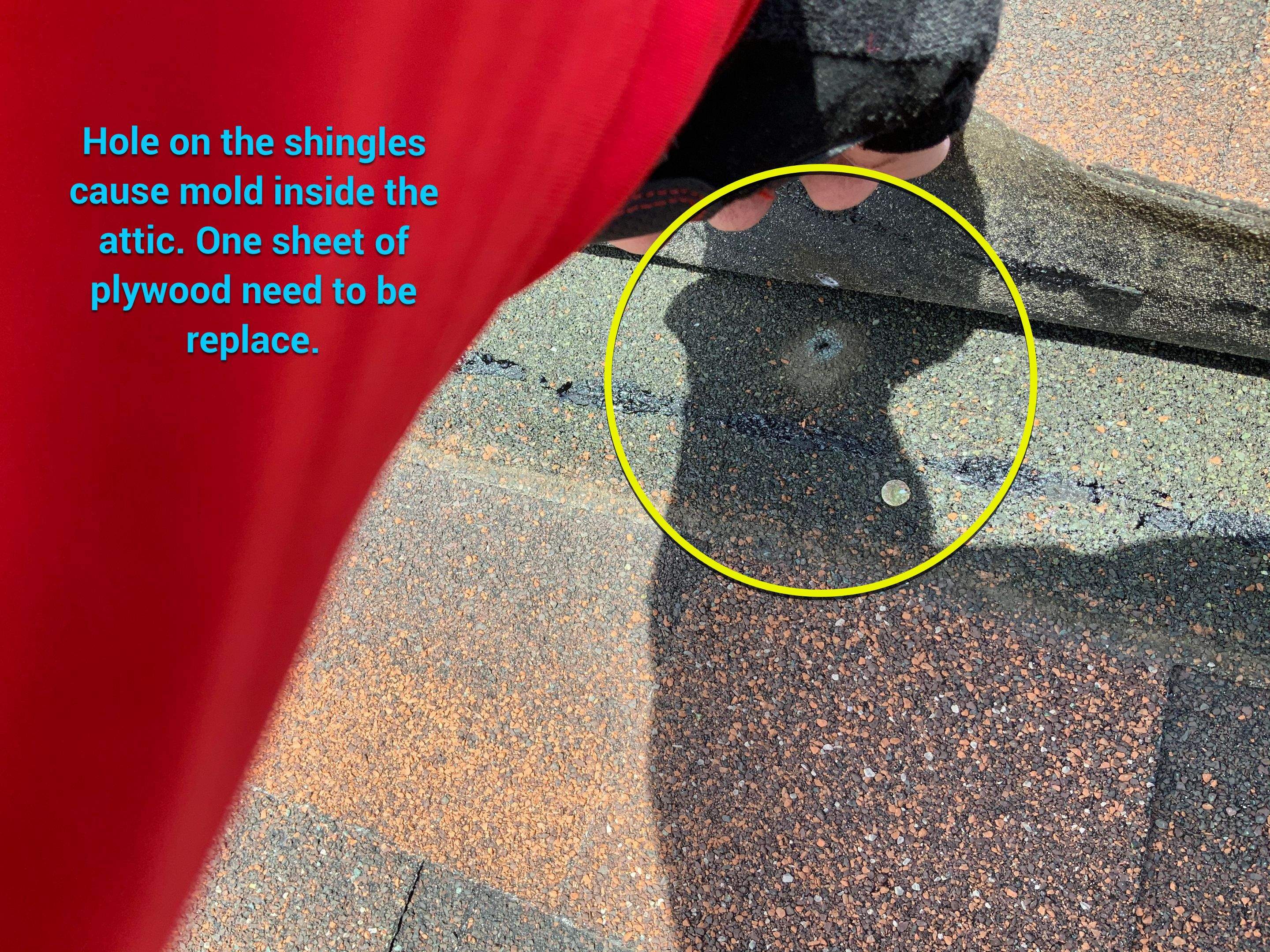 Residential Roofing Repair using Ridge Vent  by Alpha Design Services