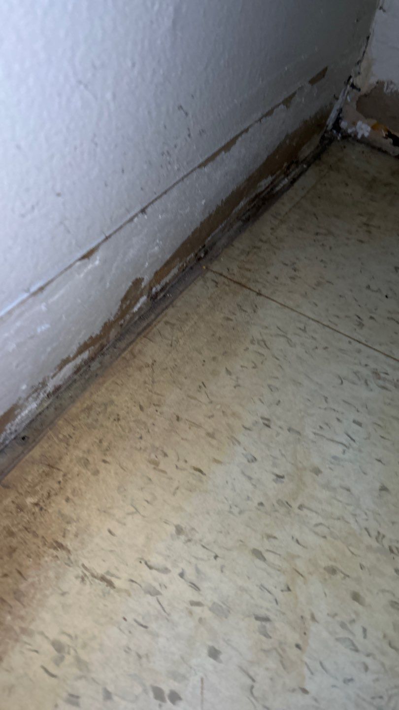 Mold Remediation by Accountable Home Services