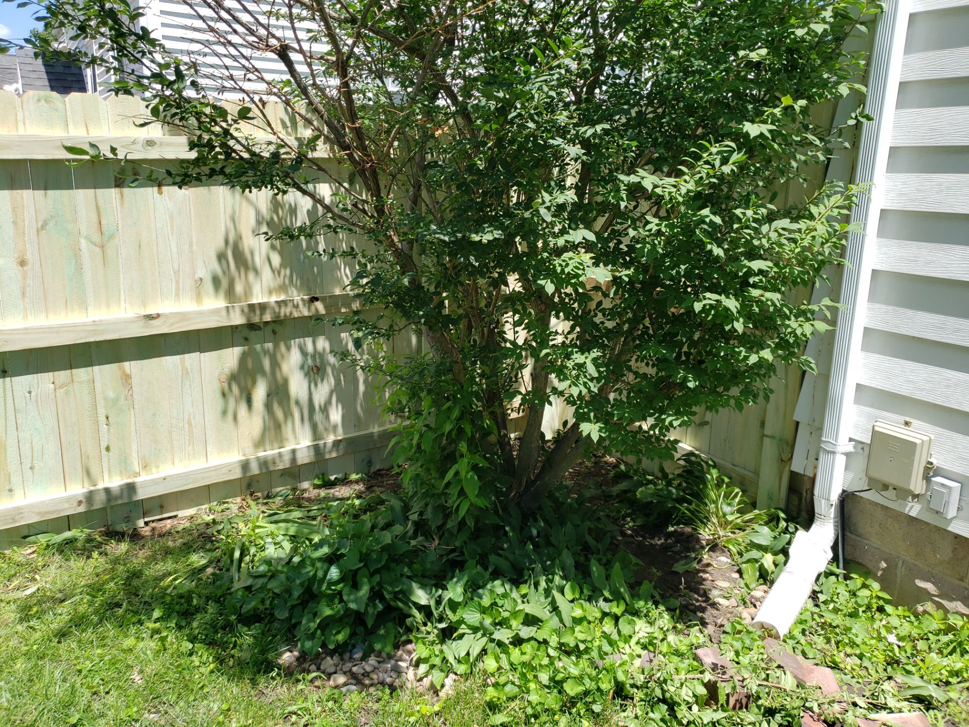 Pressure-Treated Pine Privacy Fence Replacement in Waterloo, Iowa by Perfect Picket Fence and Stain