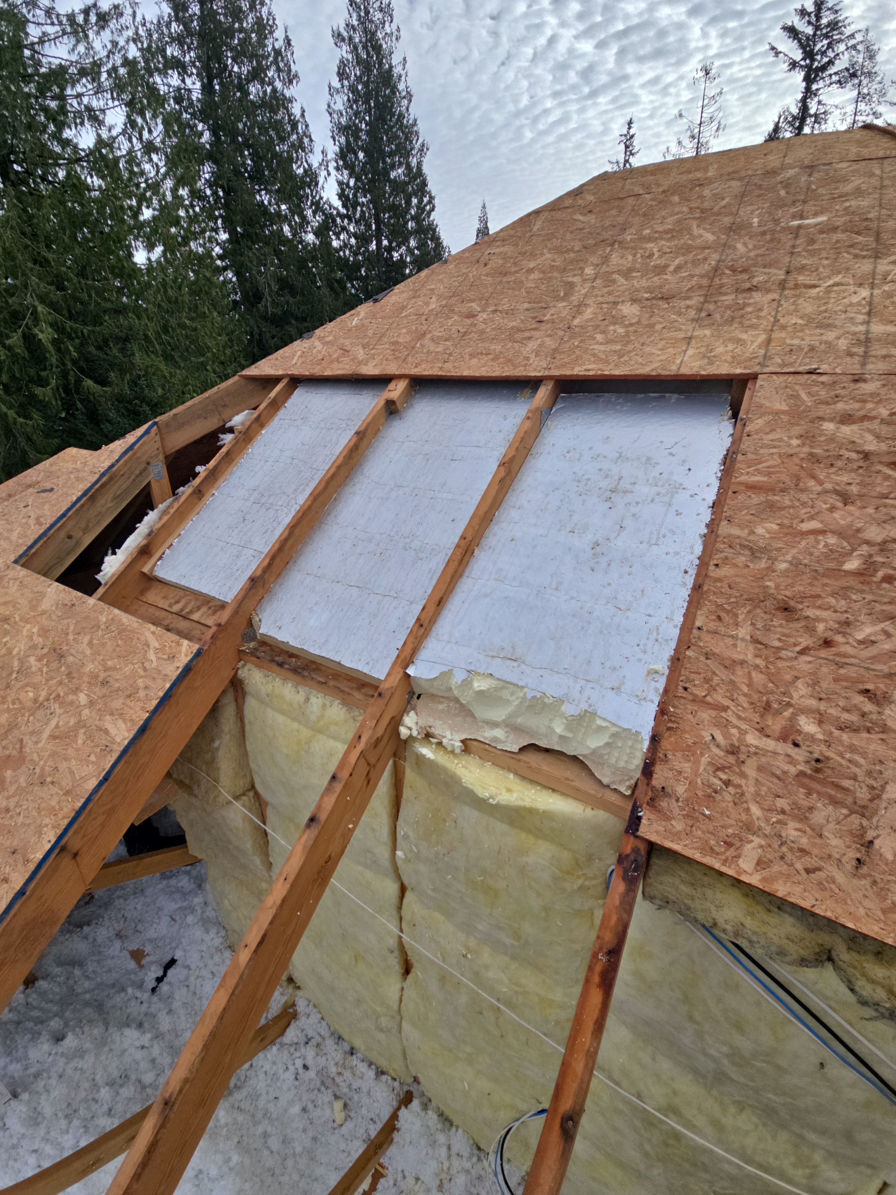 EuroShield in Sammamish by Roof Smart