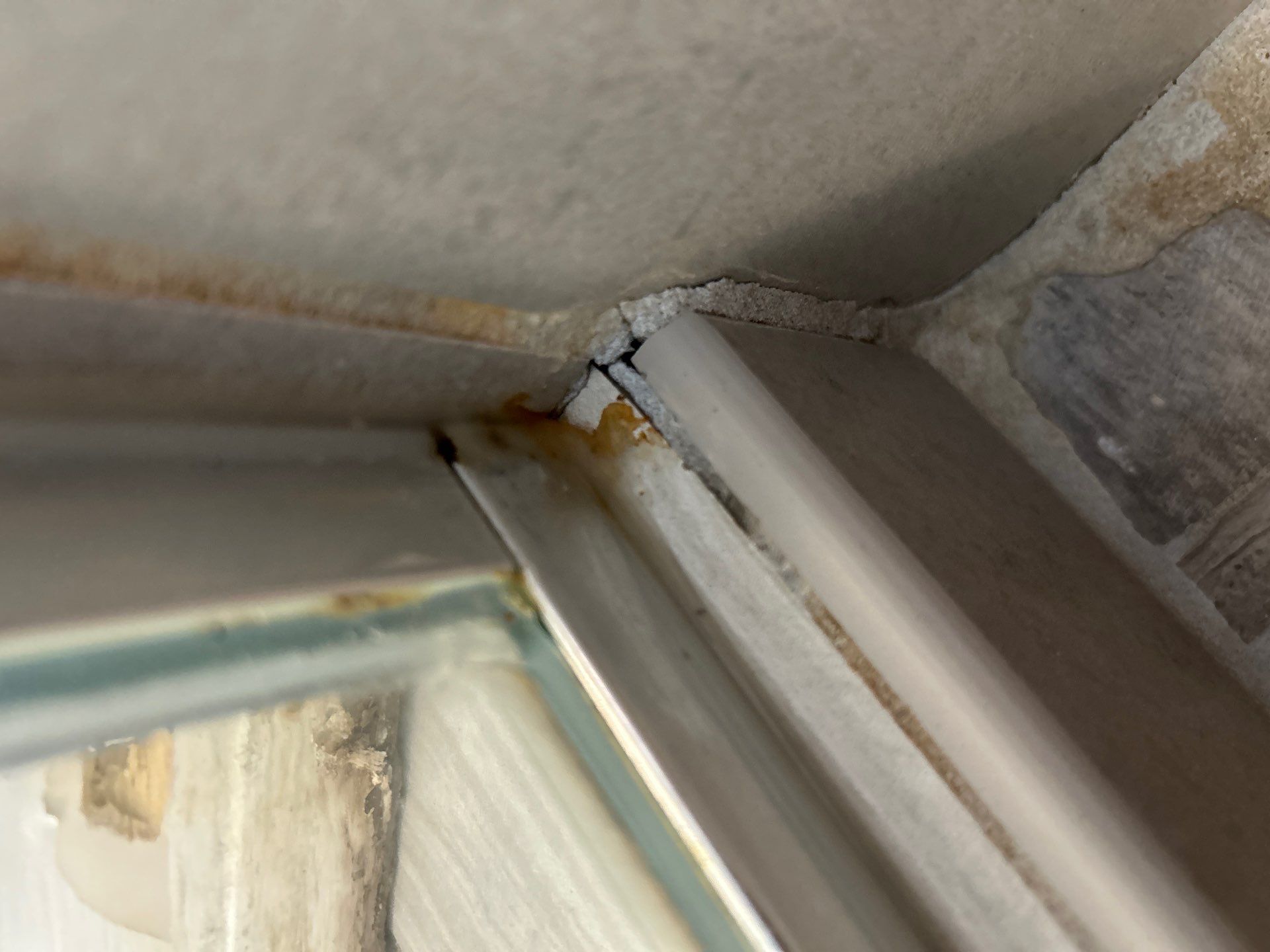 Mold Remediation In Palmetto by Ampm Restoration Services 