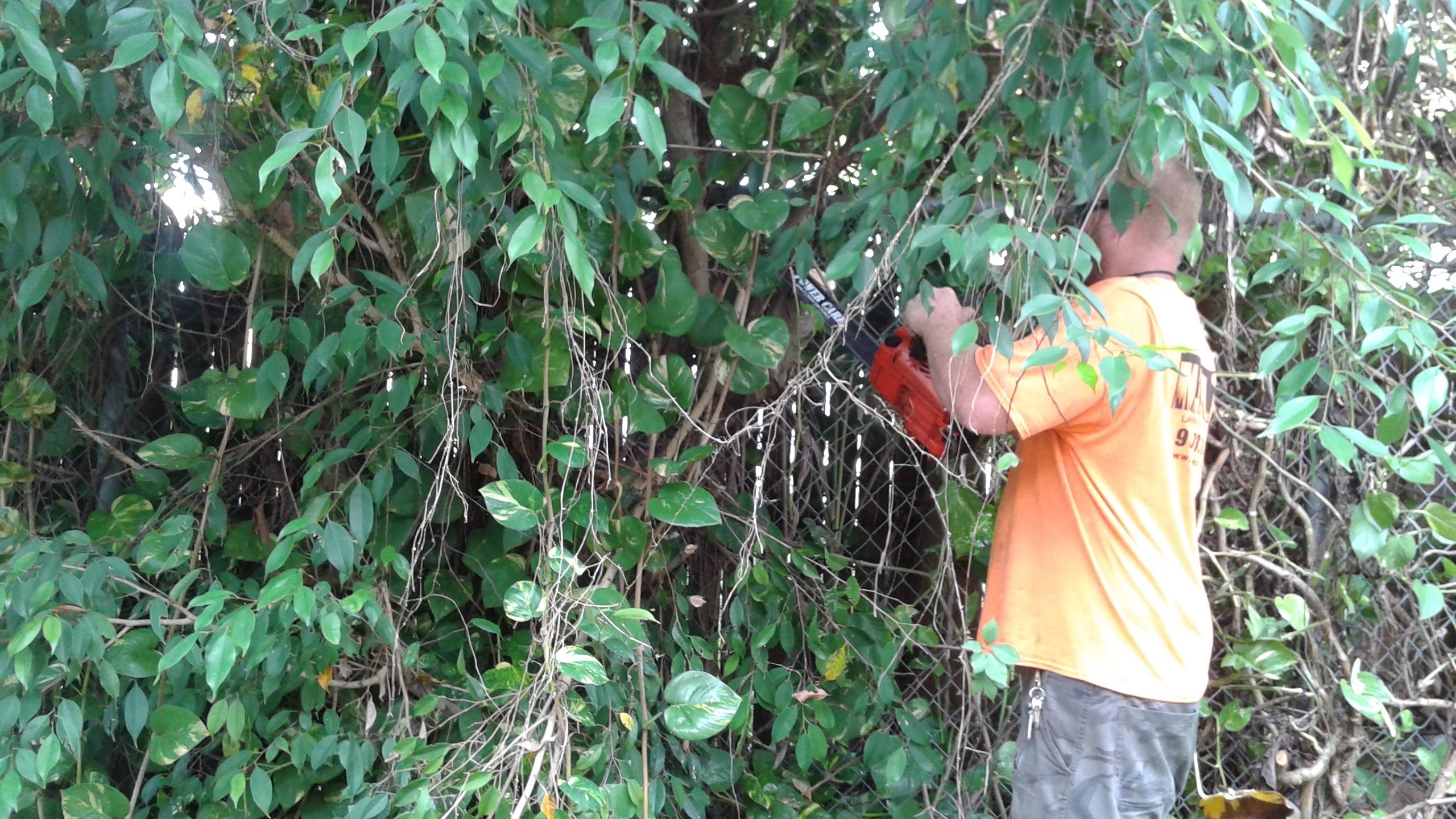 General Maintenance by 
M.A.B. Landscaping & Property Maintenance