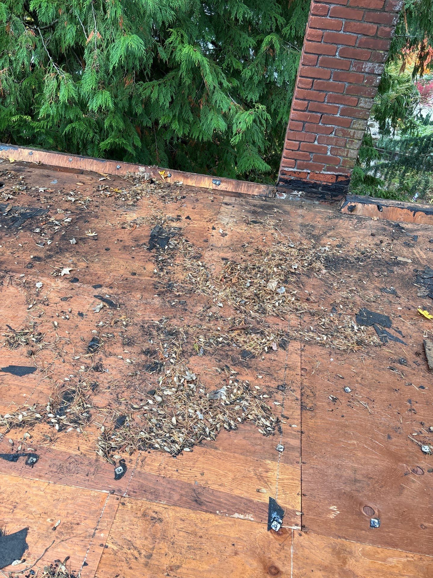 Project in Portland by Peak Exteriors LLC