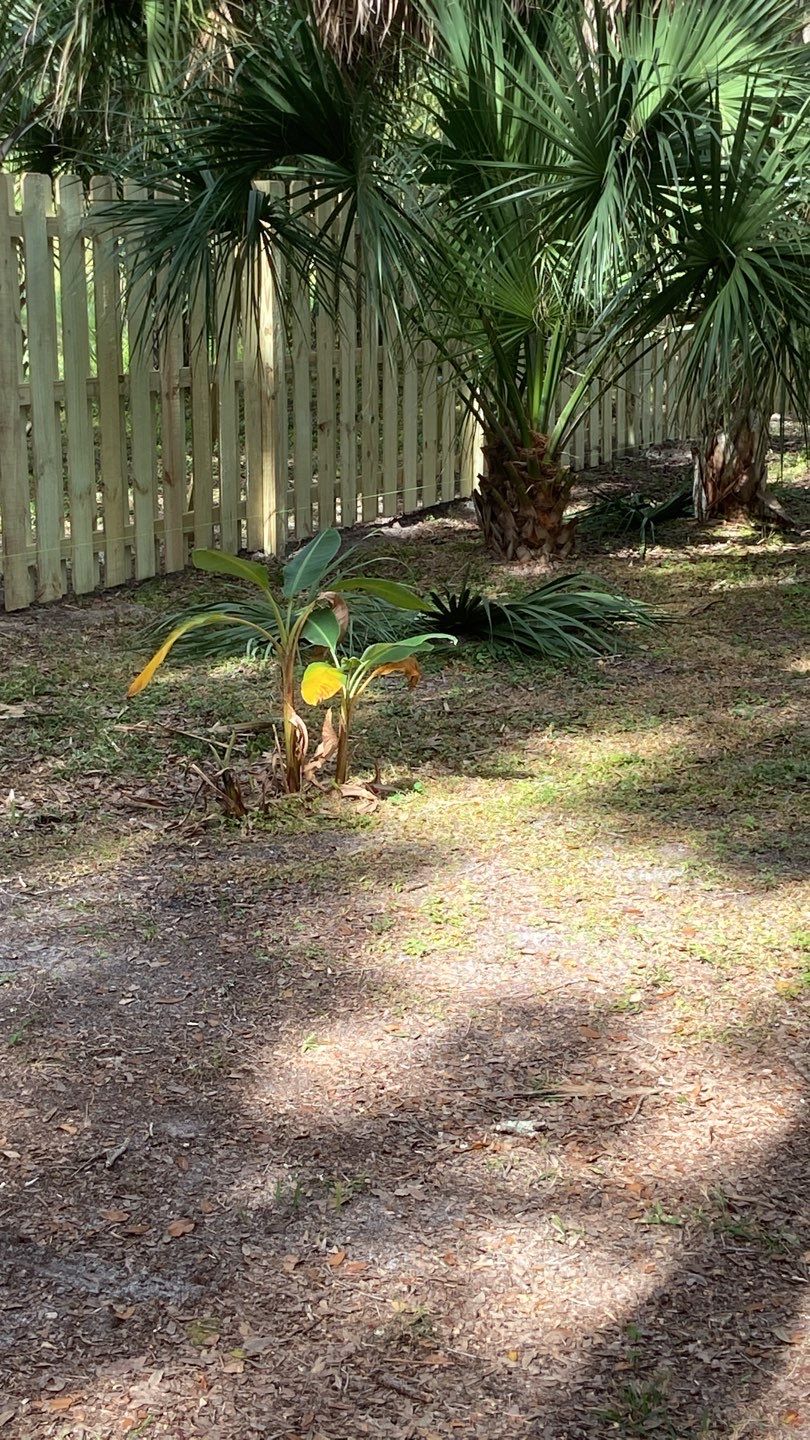 Sarasota, FL 4ft. Tall 3-Rail Aluminum Fence by Asap fence and gates, LLC