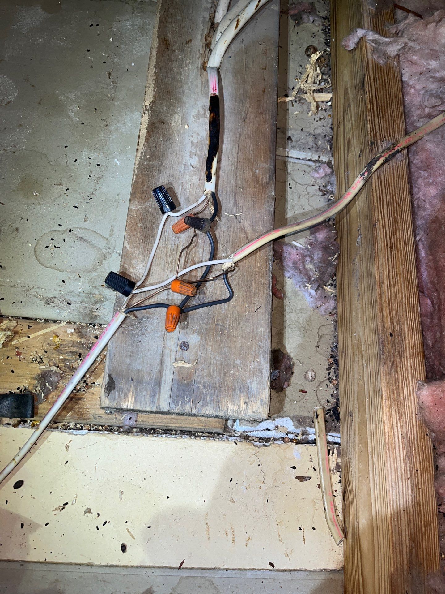 Addressing Attic Mold and Upgrading Insulation in Cranberry Township, PA 16066 by Home Environment Solutions