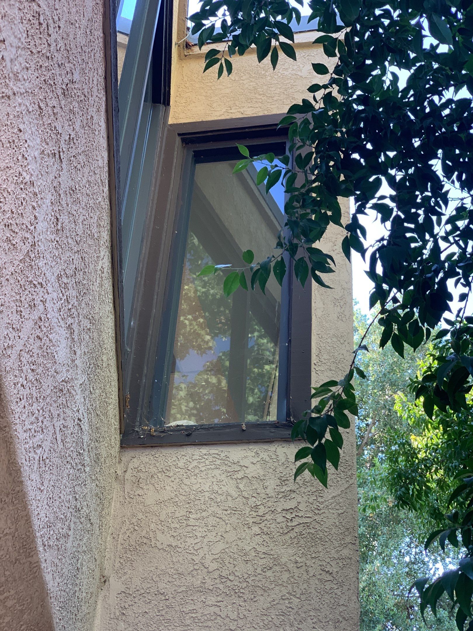 Jila Tailoring Studio by SpotFree Window Cleaning