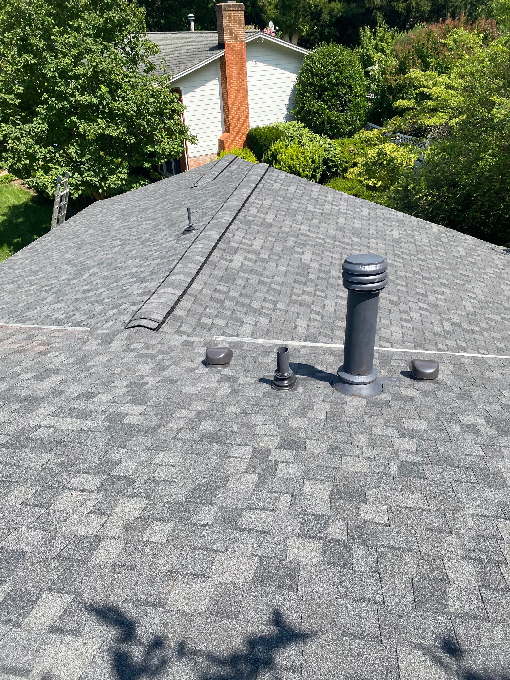 Vienna: CertainTeed Landmark Pro Architectural Shingles in Max Def Pewterwood by RM Banning, Inc.