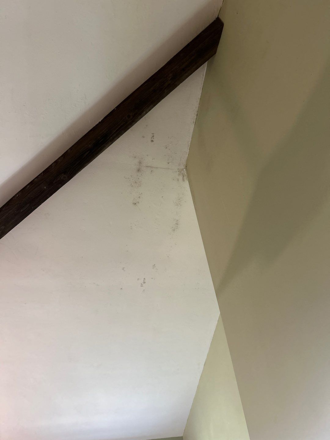 Ridge Skylight Repair and Shingle Roof Maintenance in Winter Park by Fortified Roofing Solutions Corp.