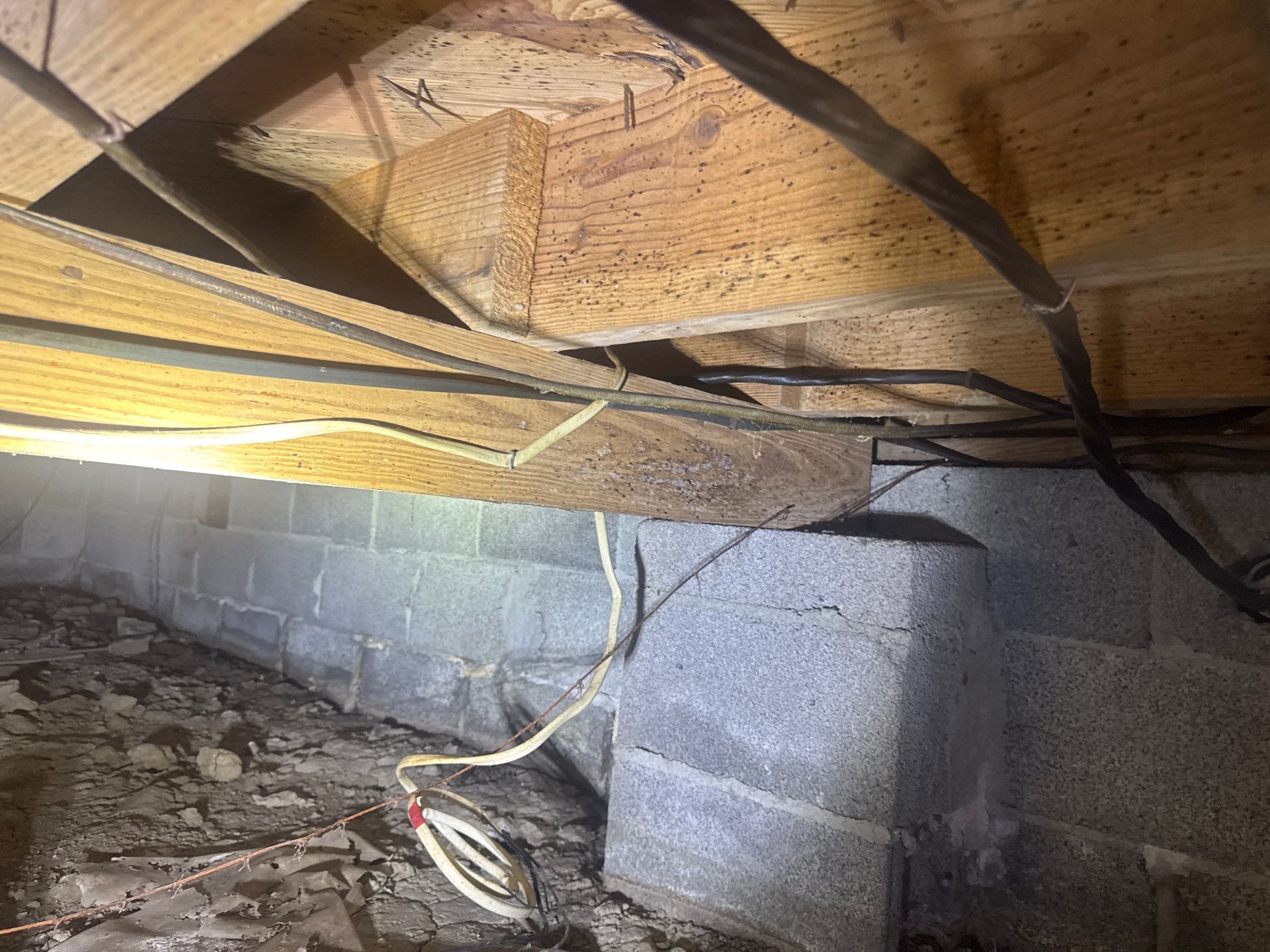 Project in Norfolk by Patriot Crawl Space Repairs