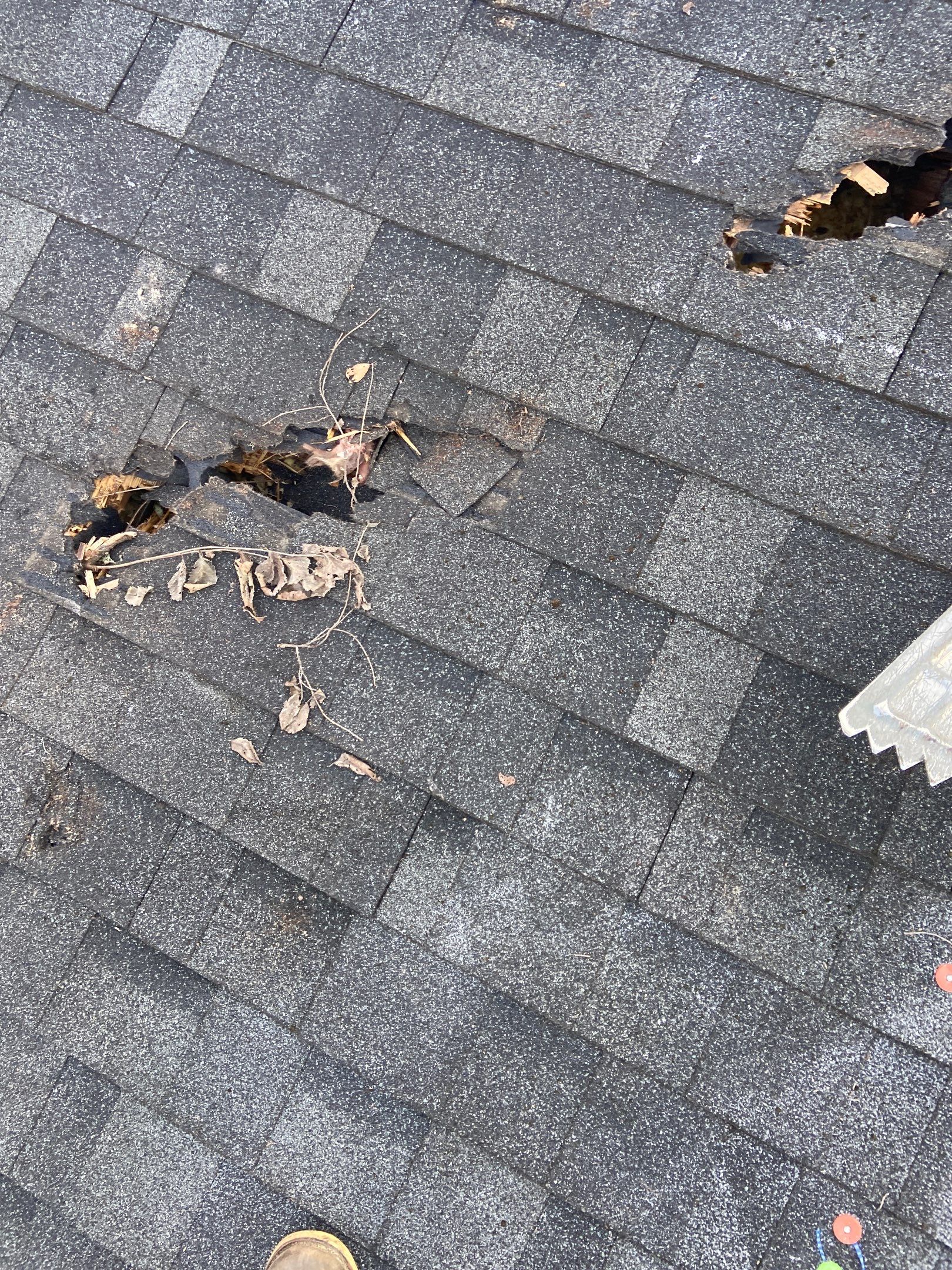 Roof Replacement using CertainTeed Landmark Pro by 180 Contractors