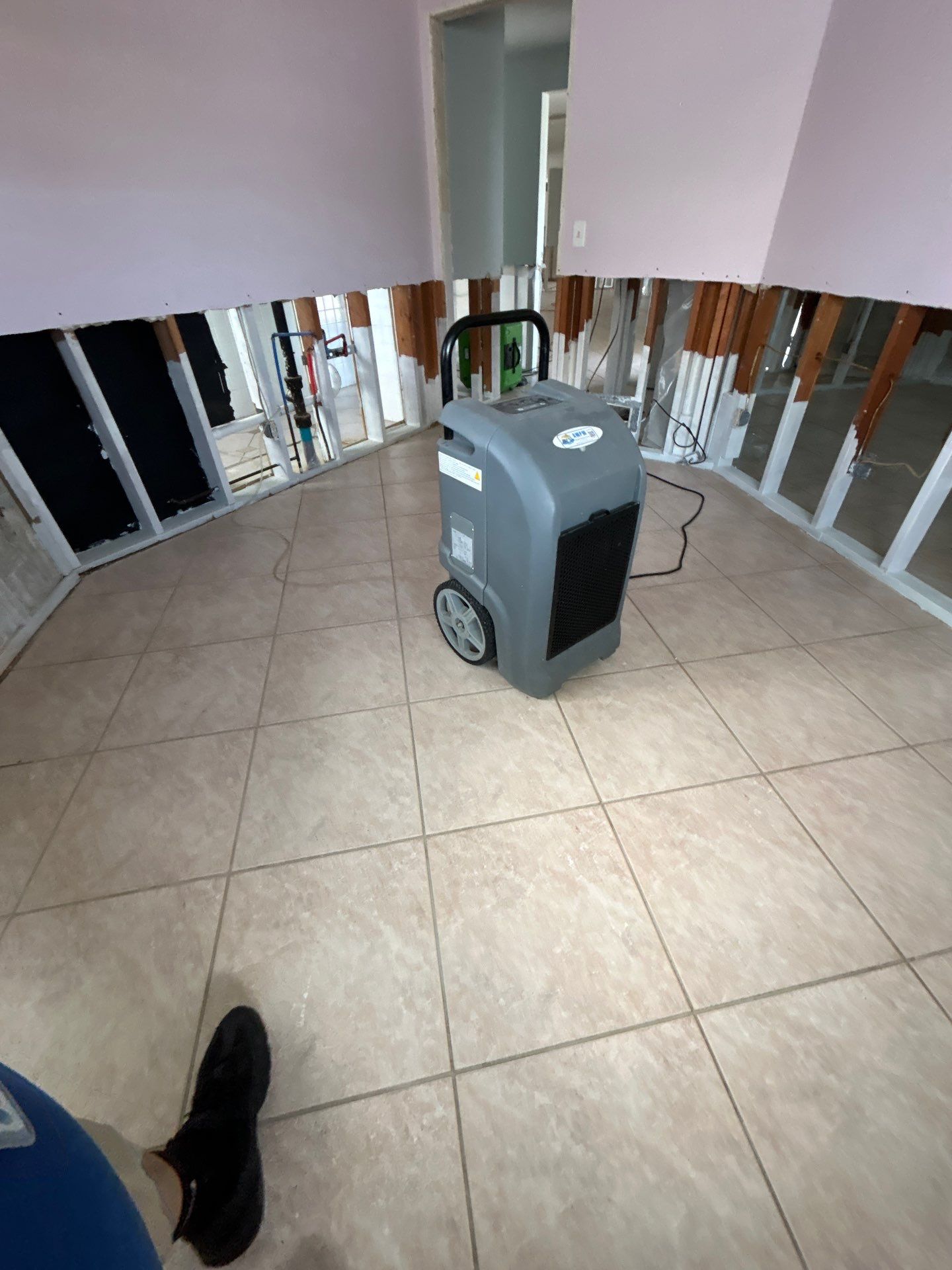 Water And Mold Restoration by Ampm Restoration Services