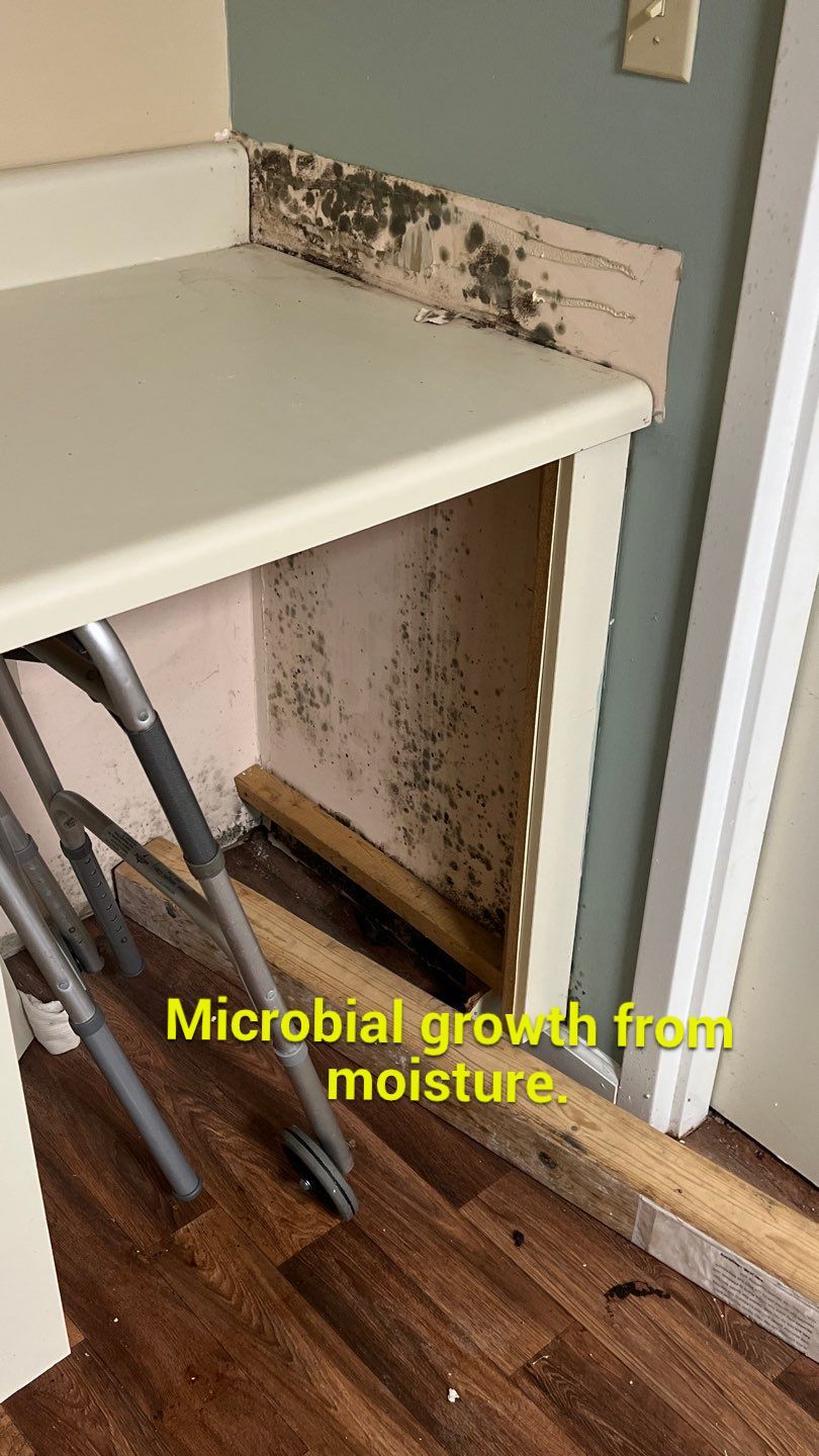 The Gardens of Rome by PC&D