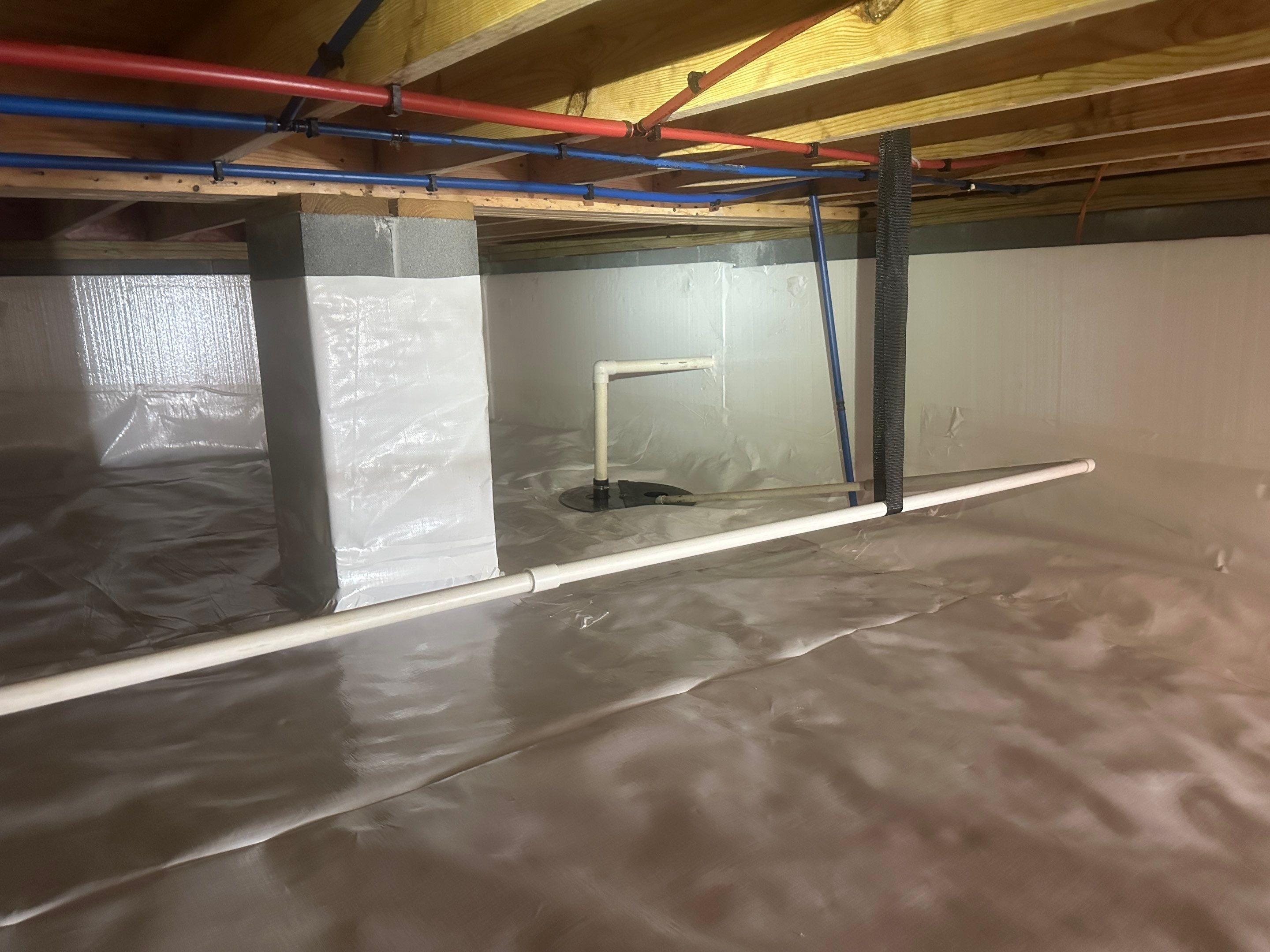 Premium Encapsulation with 20Mil, Borafoam insulation and Light System. by Impact Crawlspace