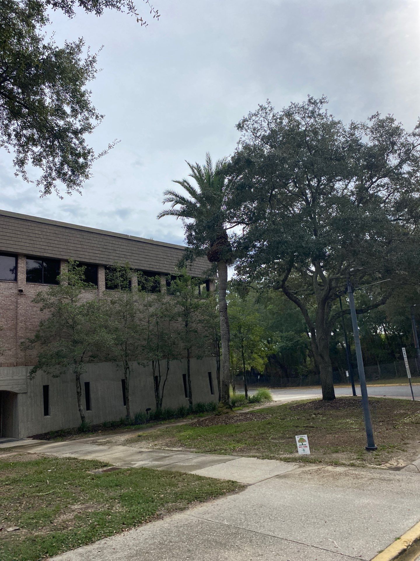 Volunteer Work | Episcopal High School of Jacksonville by ProGreen Services