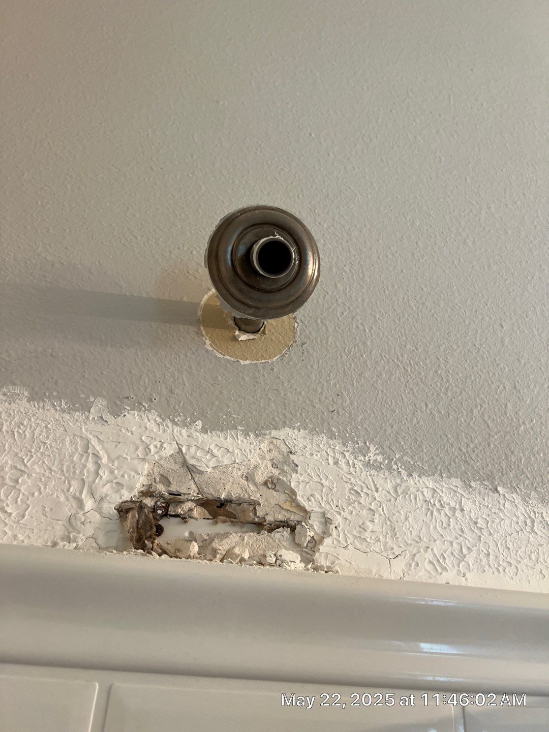 Tampa Mold Removal by Ampm Restoration Services