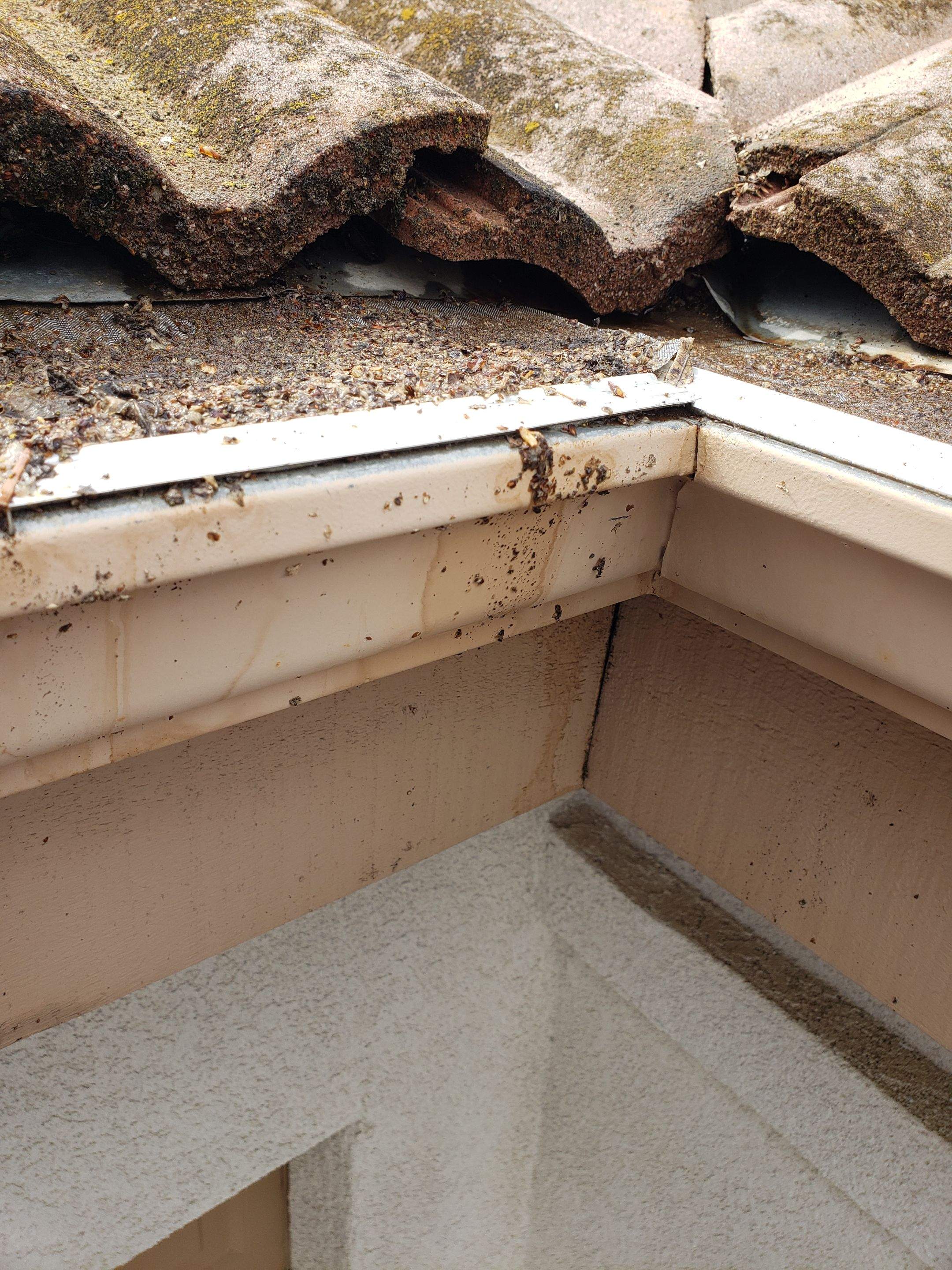 Gutter Installation using Englert LeafGuard Gutters by Byers Enterprises 