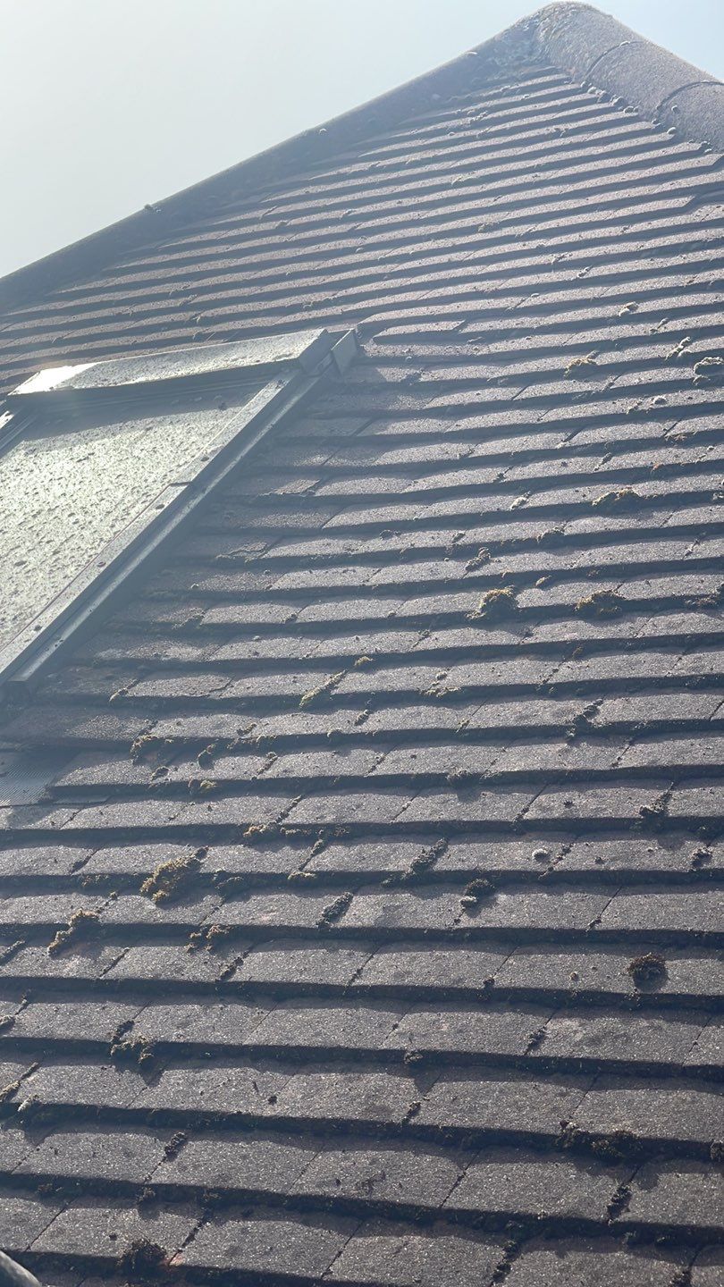 Roof Clean - Biocide Treatment using Honda 15lpm Low Pressure Washing Machine by Ges Exterior Cleaning ltd