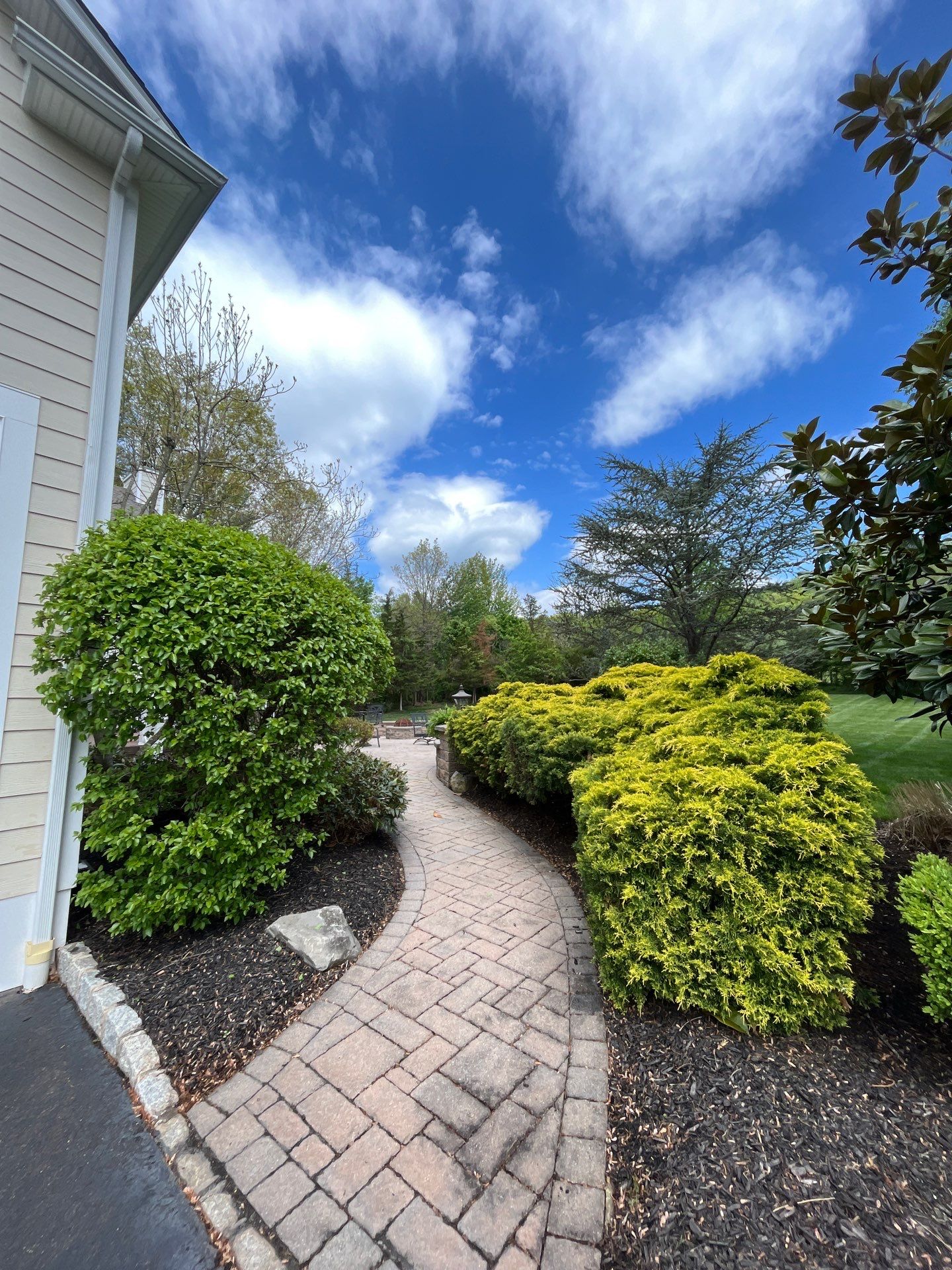 Lawn Care and Shrub Care at a beautiful Bridgewater property by Ants Plants
