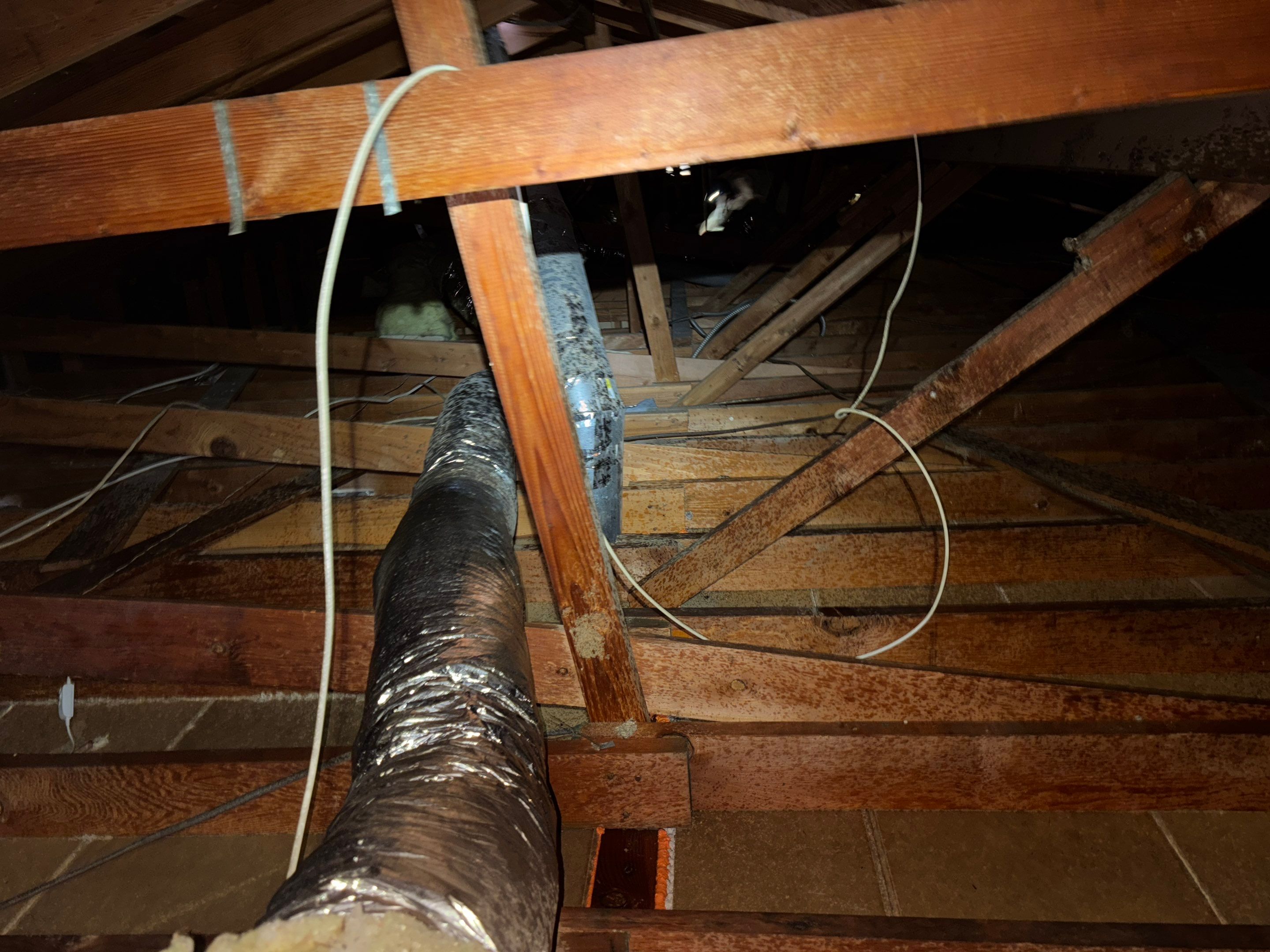 Project in Fullerton by Insulation Labs
