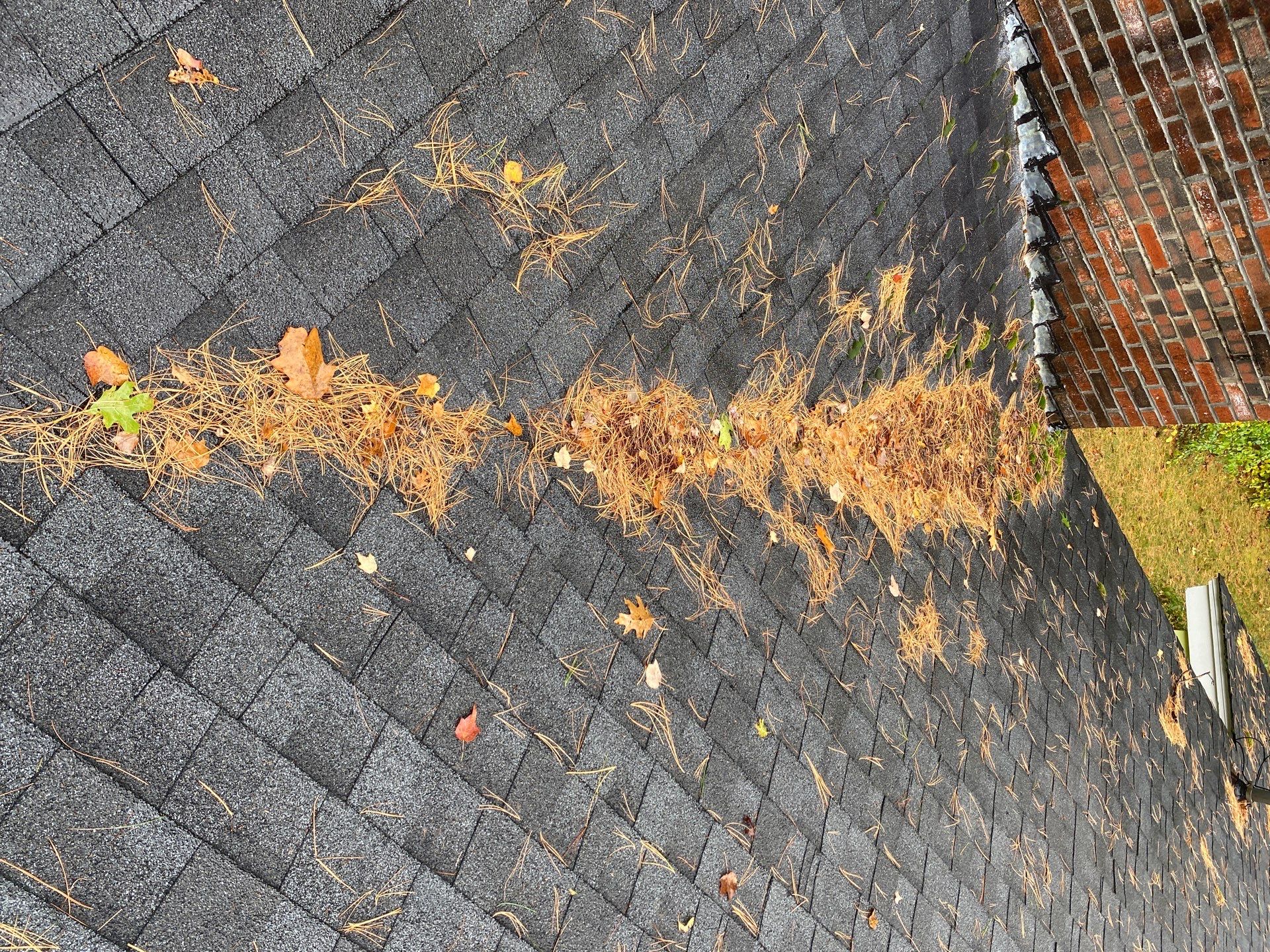 Chelmsford Exterior Repair: Siding, Gutters & Roof Cleaning by Mighty Dog Roofing of Greater Middlesex County