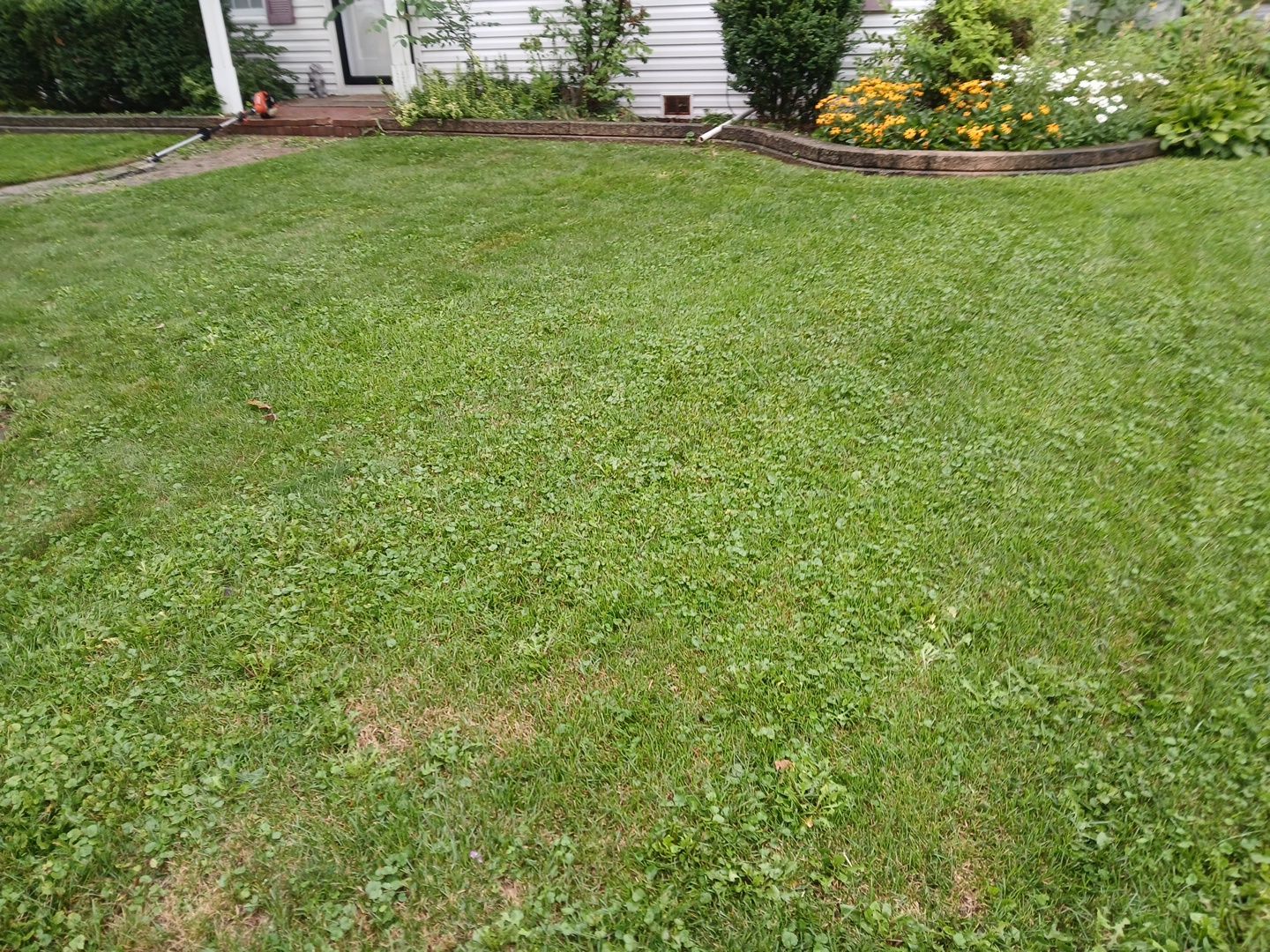 Steven L. - Park Ridge, IL by A&N