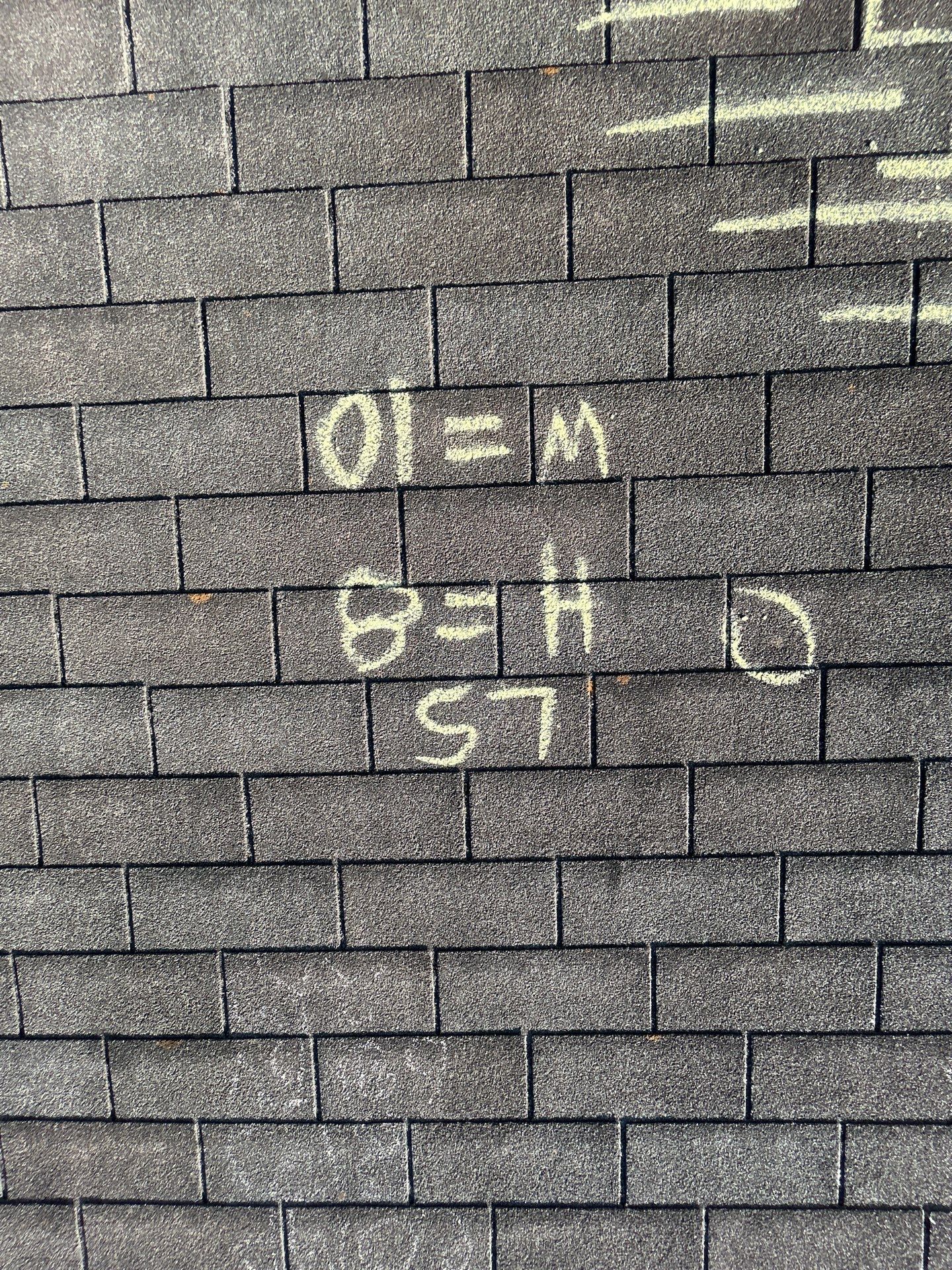 Miss Bridgette by REPS OF TEXAS