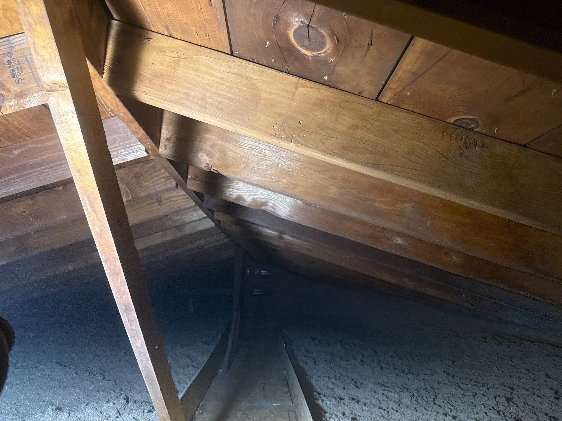 Blown-In Attic Insulation and Rodent Remediation in Canonsburg by Home Environment Solutions