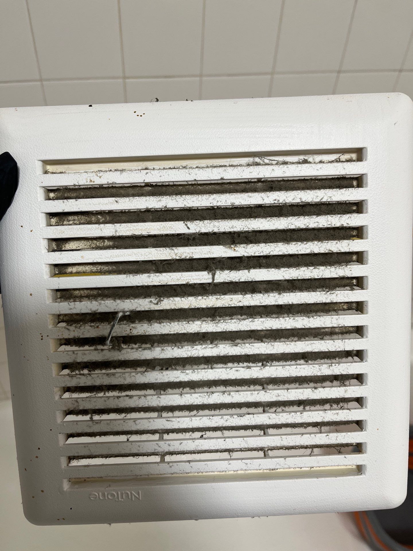 Project in Chicago by Xo Clean Services 