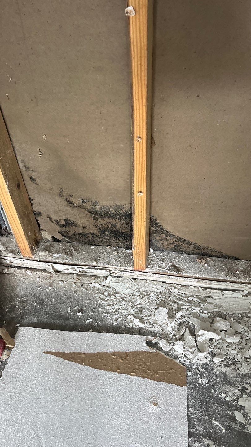 OH No, OYO! by Bayfront Roofing and Construction