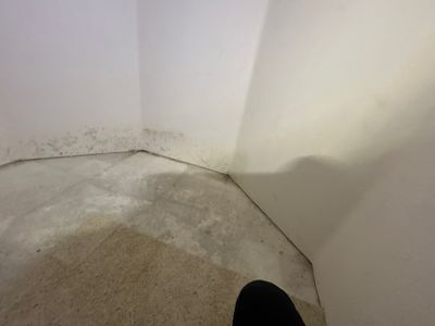 Project in Thornton