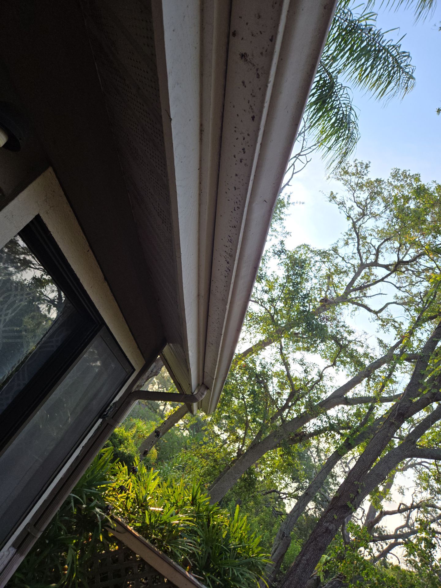 Project in Clearwater 33760 by Mitchell Roofing Company LLC 