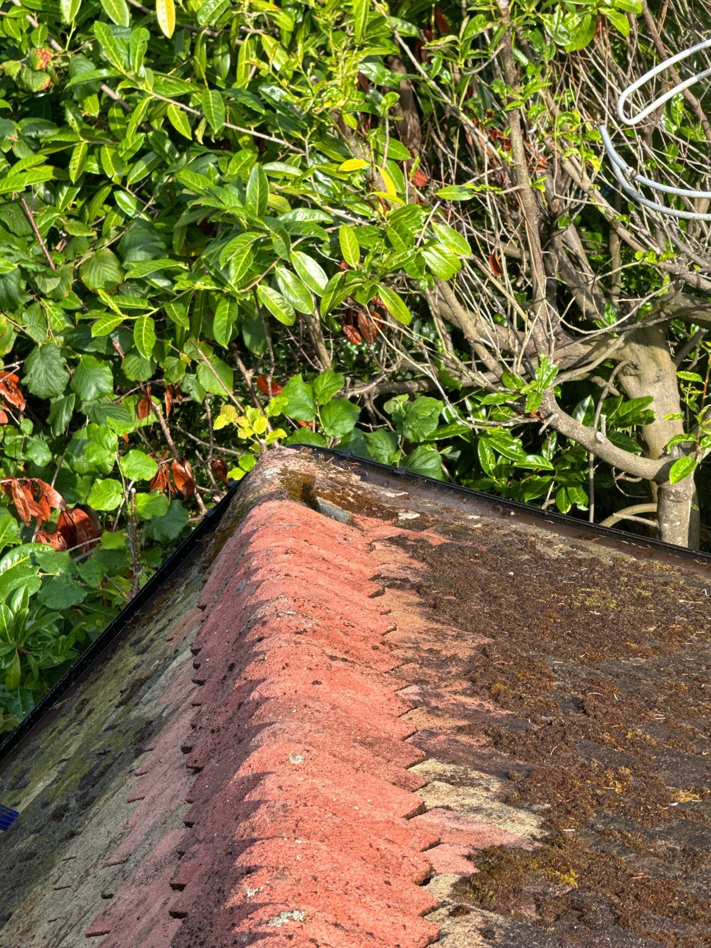 Roof Clean  - Moss Removal - Gutter Clean using Honda 15lpm Low Pressure Washing Machine by Ges Exterior Cleaning ltd