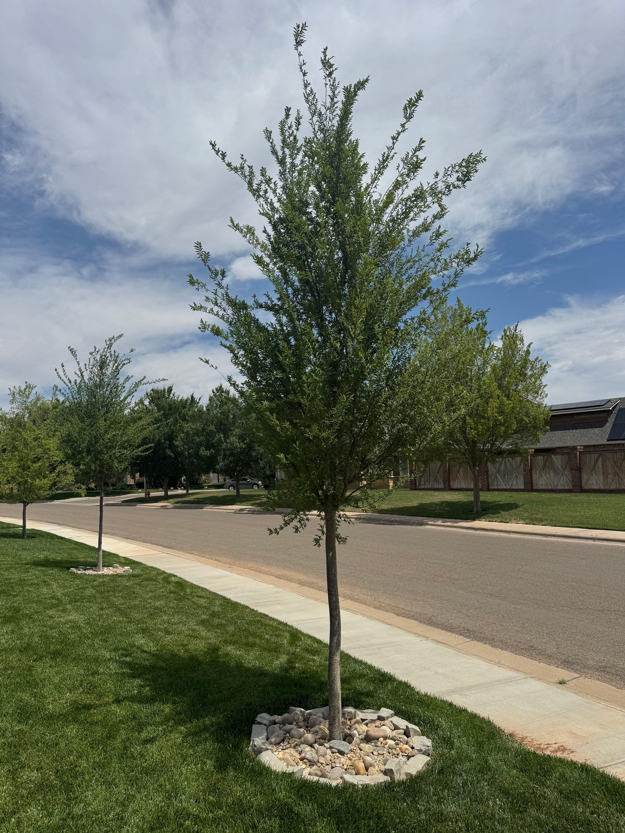 7997 Liberty-Pool & Landscape by Spanky’s Landscape