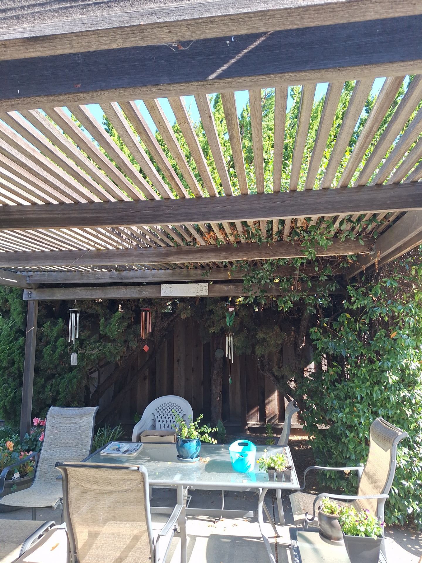 Arbor by Fremont Fence Inc