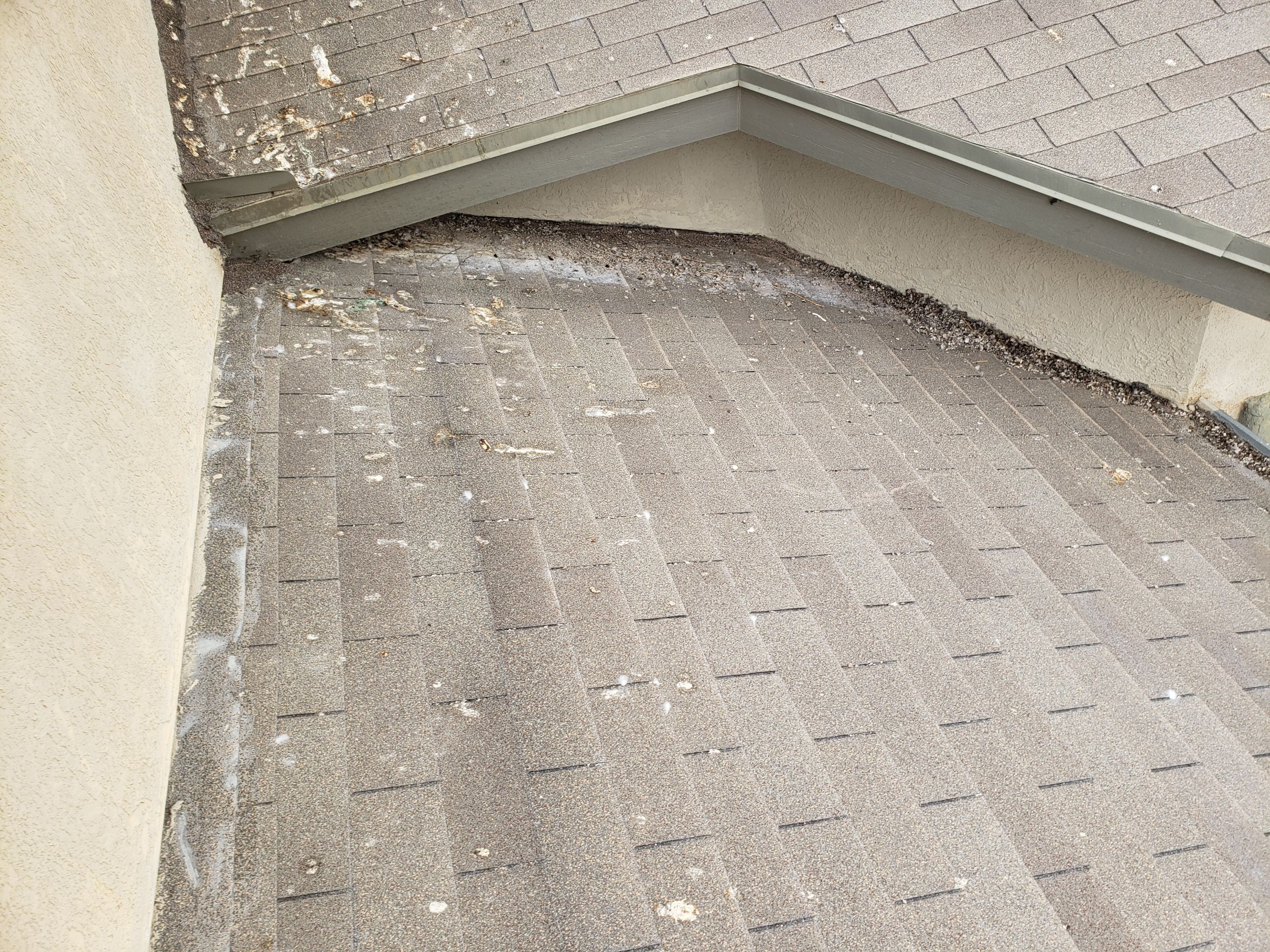 Shingle roof restoration by SPF Services 
