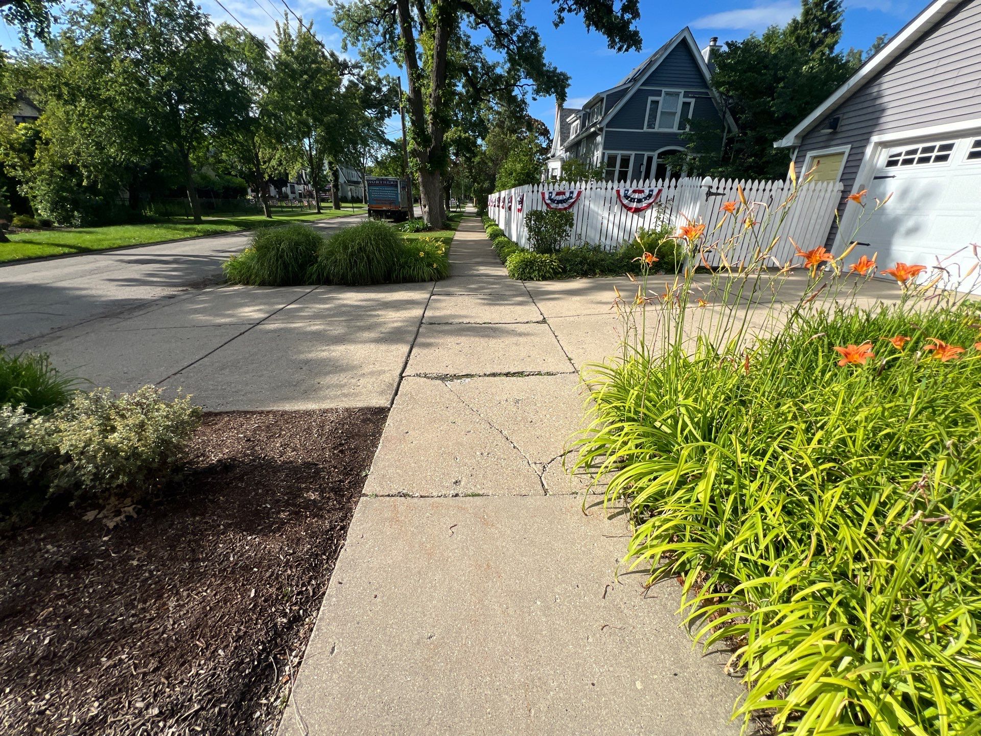 concrete cleaning using Algaecide, soft wash soap by Northern Power Washing LLC.