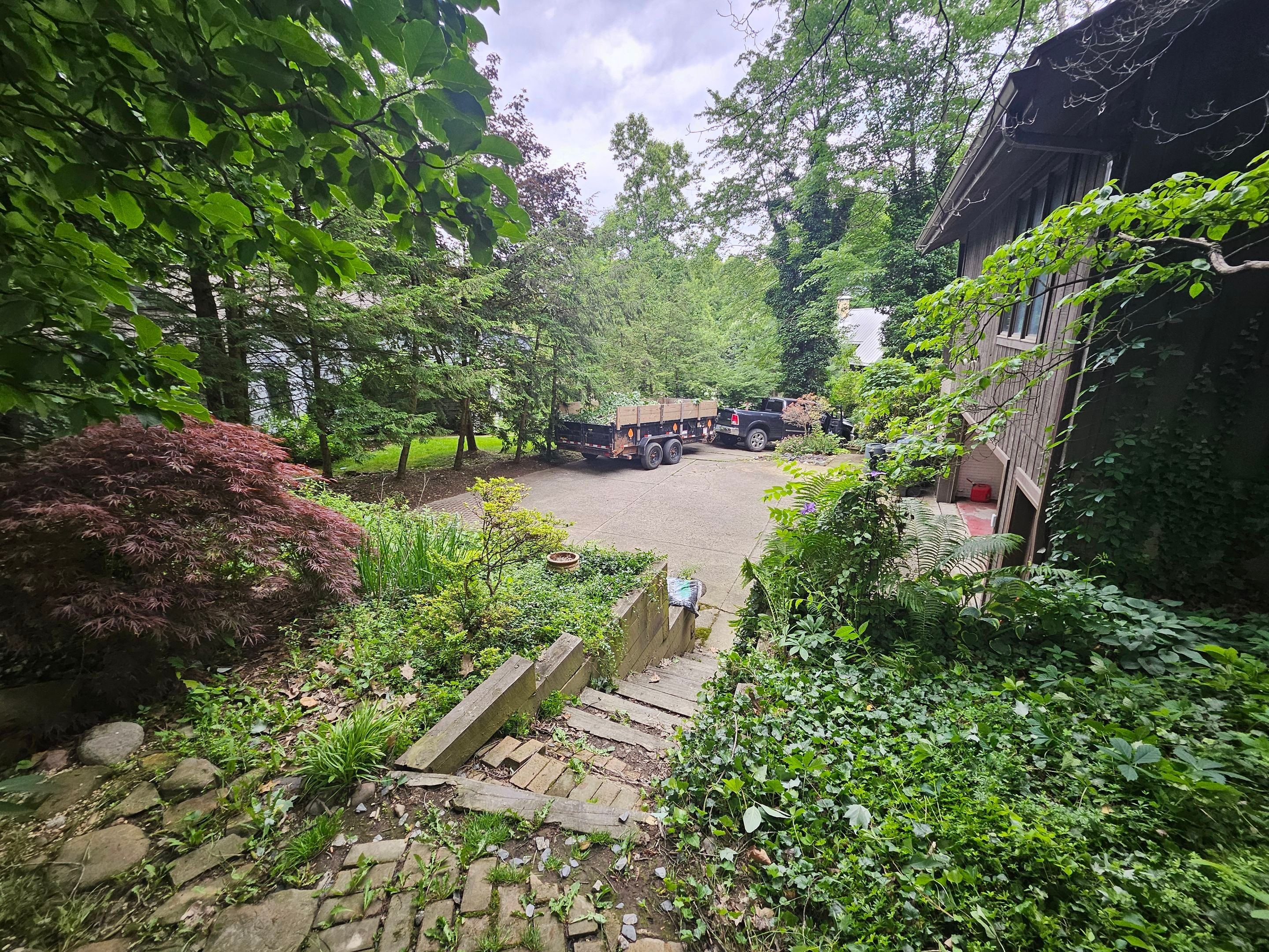 Tree Trimming using Tree Pruing by Mike Jones & Sons Tree Service LLC 