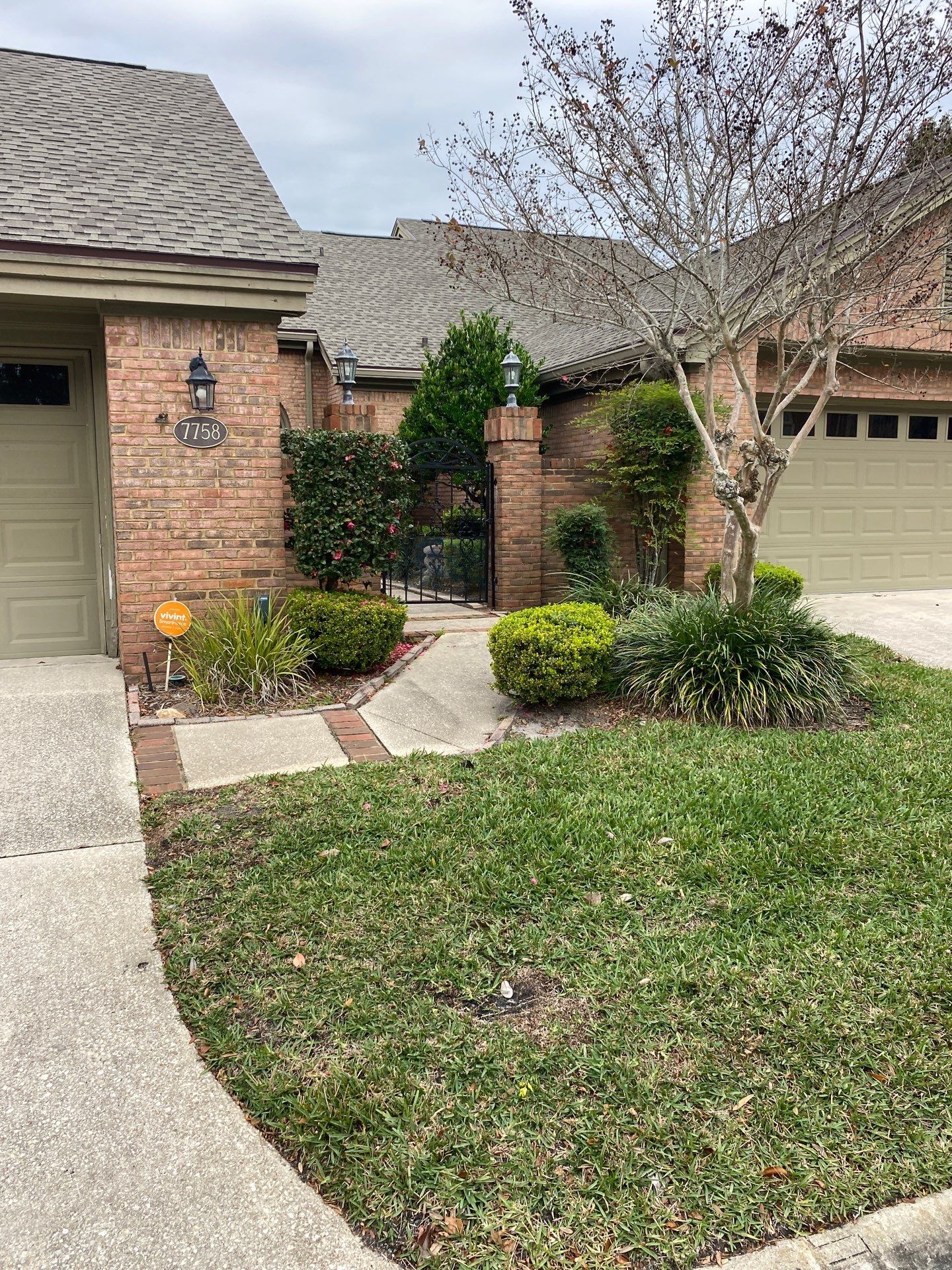 Deerwood Pointe | Tree Removal & Pine Straw Installation by ProGreen Services