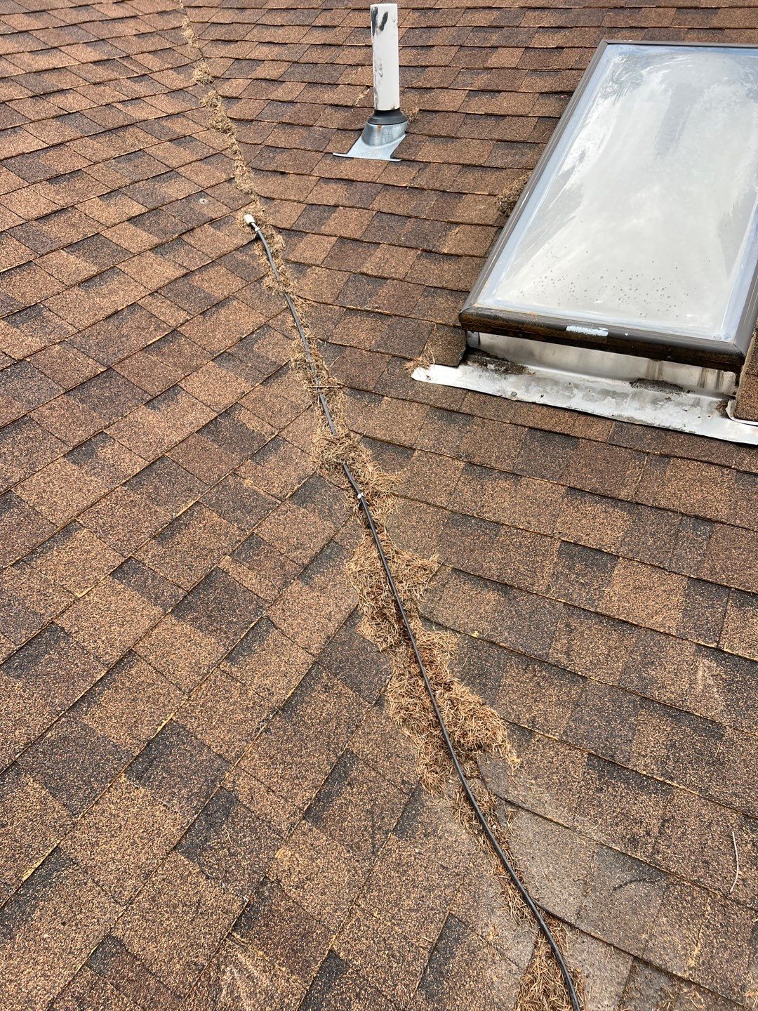 GAF Timberline HDZ - Hunter Green by Montana Roofing Solutions