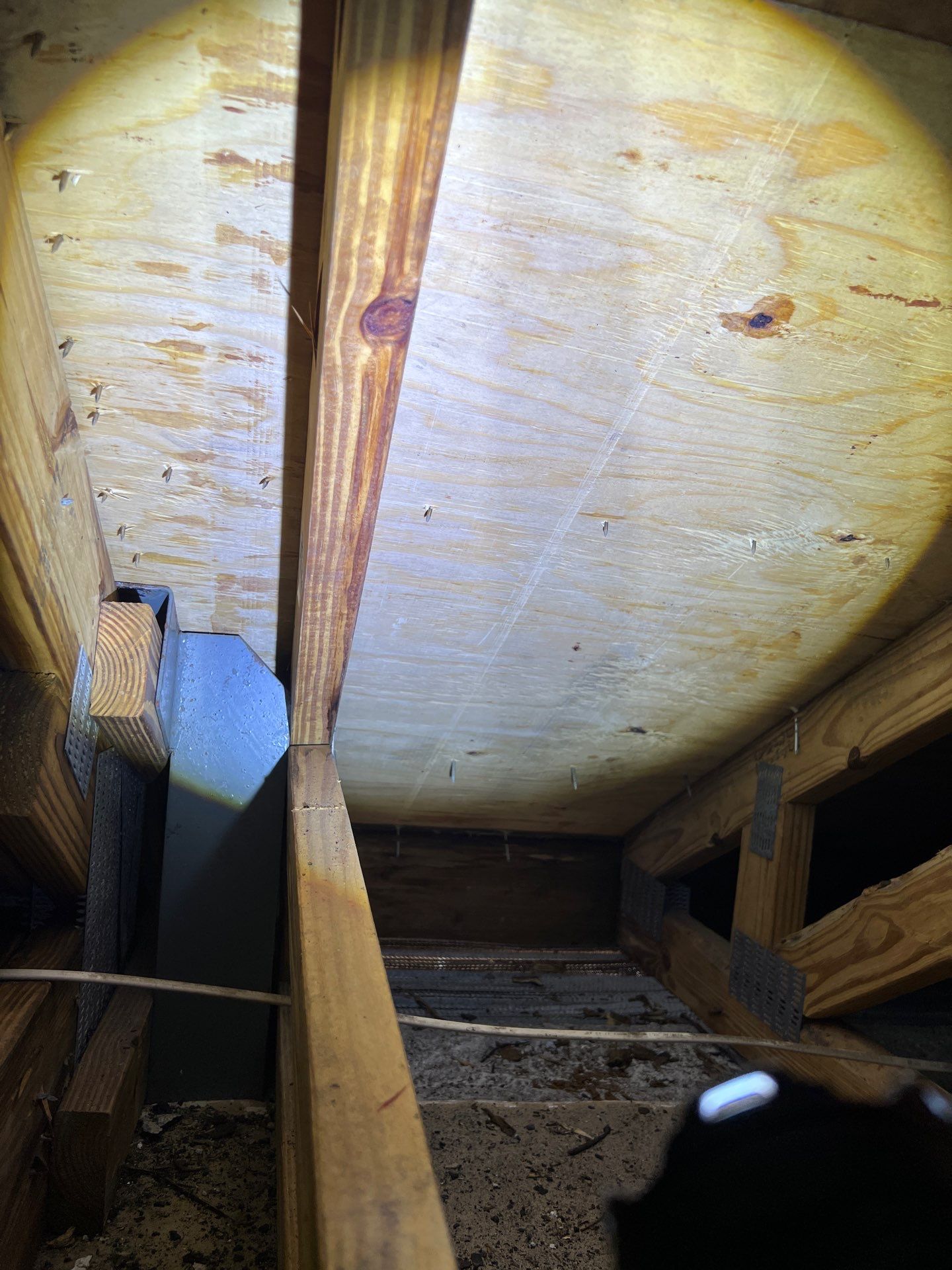 Concrete Tile Roof Repair in Wellington – Expert Restoration & Leak Repair by Aastro Roofing