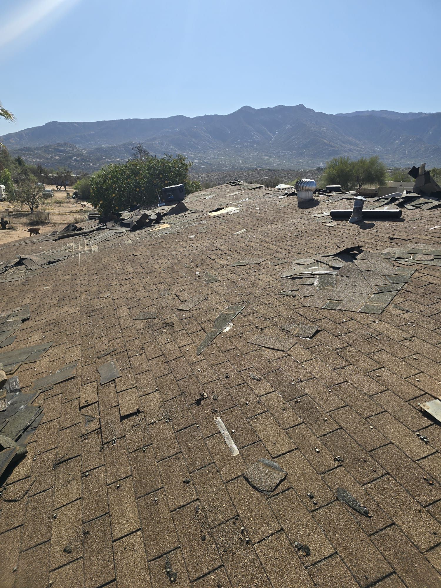 Silver Birch Shingles by Reimagine Roofing