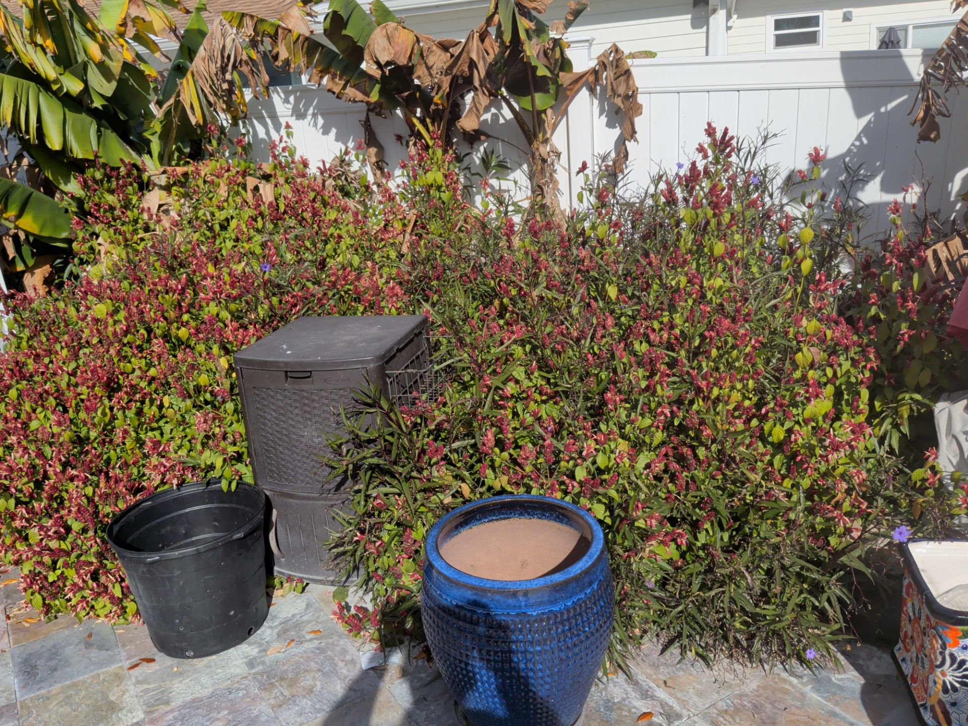 Flower Bed & Property Cleanup San Pablo area — Jacksonville Beaches, FL by Harmoni Home Services