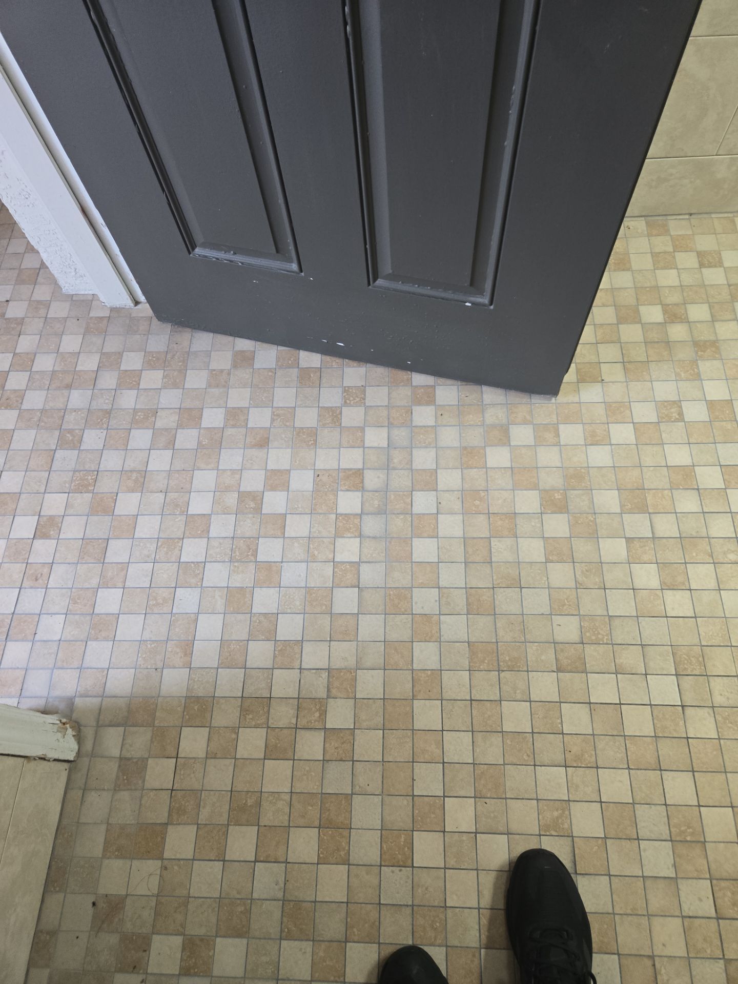 Project in Trinity by Serene Construction