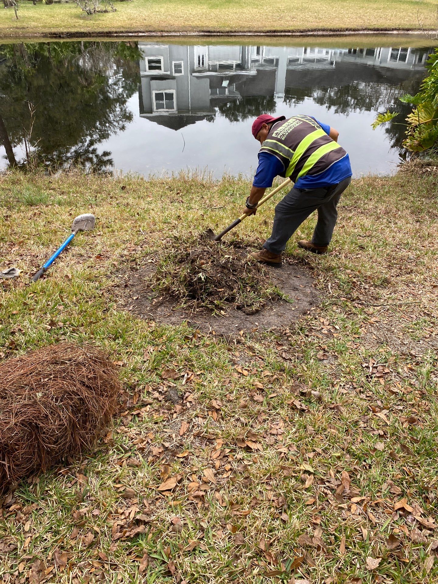 Deerwood | Live Oak Planting Project  by ProGreen Services